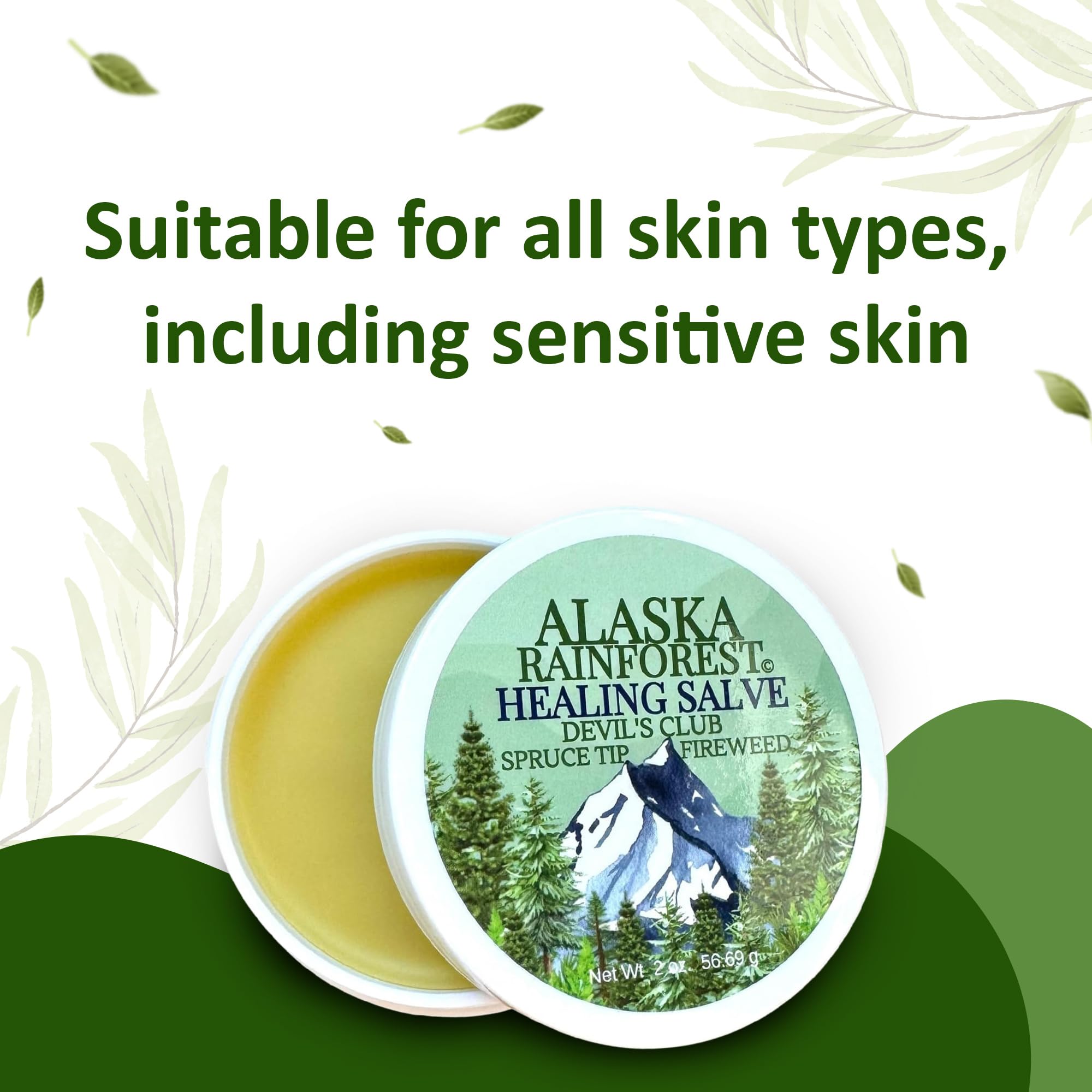 Snowy Summit Alaska Rainforest Salve - Herbal Salve for Dry Skin & Joint Relief - Natural Super Salve for Soothing Skin with Gentle Aroma - Body & Hand Salve - Muscle Rub with Alaskan Devil’s Club Oil - TrustMedUSA