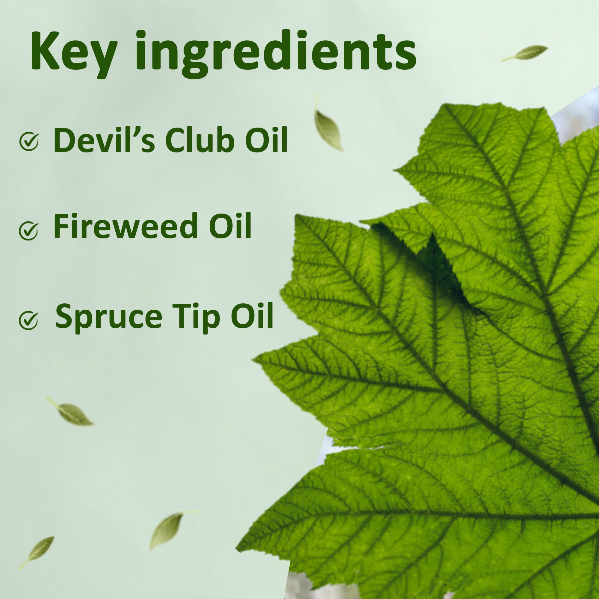 Snowy Summit Alaska Rainforest Salve - Herbal Salve for Dry Skin & Joint Relief - Natural Super Salve for Soothing Skin with Gentle Aroma - Body & Hand Salve - Muscle Rub with Alaskan Devil’s Club Oil - TrustMedUSA