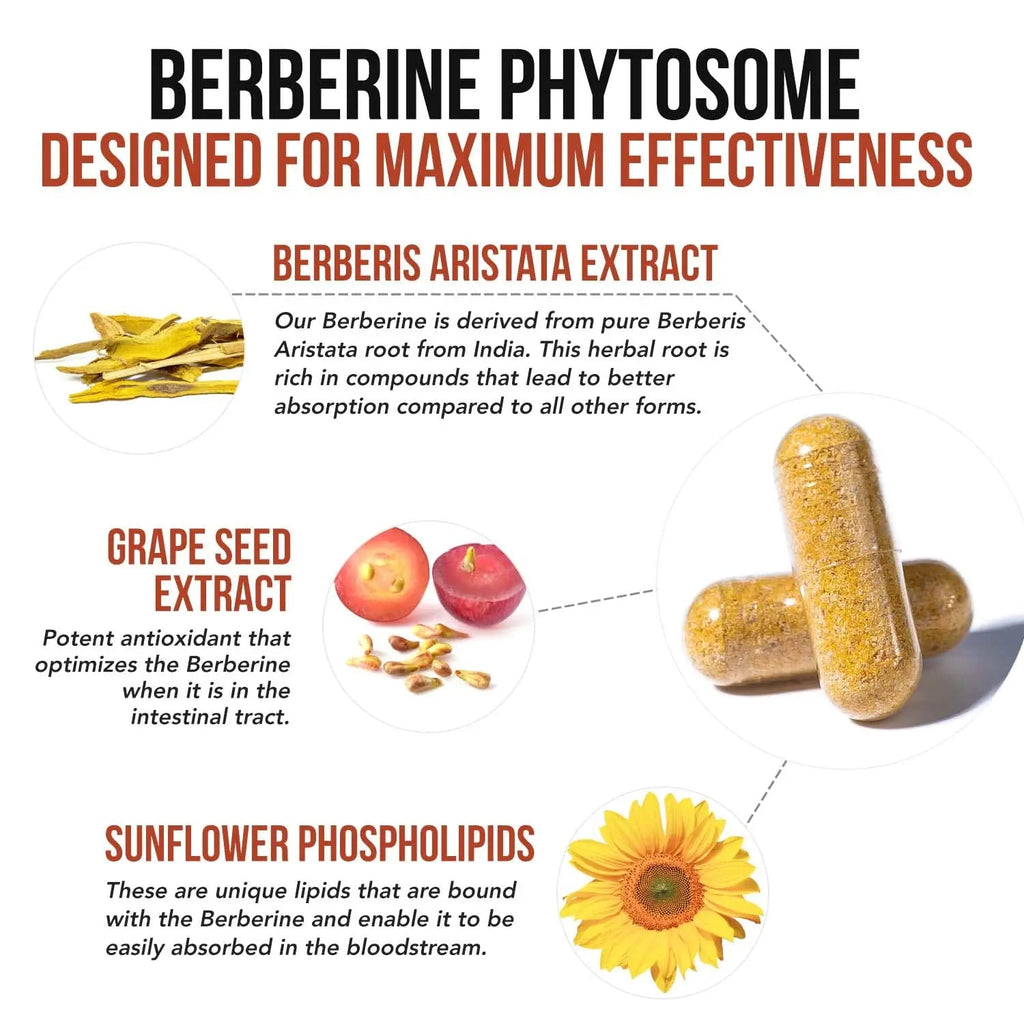 SoActive Berberine 550mg: 9.6X Higher Absorption, Clinically Proven Most Effective - TrustMedUSA