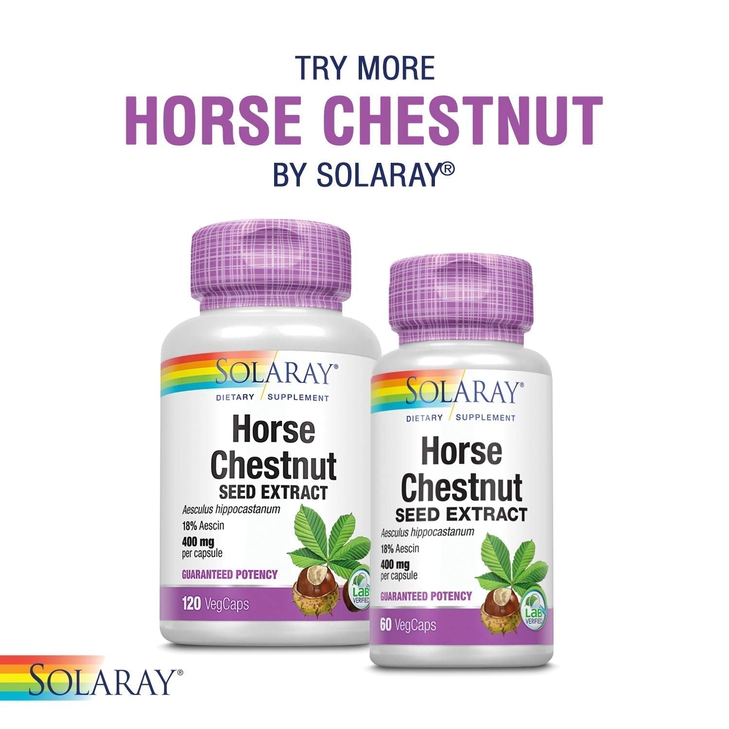 SOLARAY Circulegs - Herbal Supplements for Wellness Support w/Horse Chestnut Extract and Vitamin C, Plus Gotu Kola, Flavonoids, Hesperidin Blend - Vegan, Gluten Free, 60-Day Guarantee - 30 Servings - TrustMedUSA