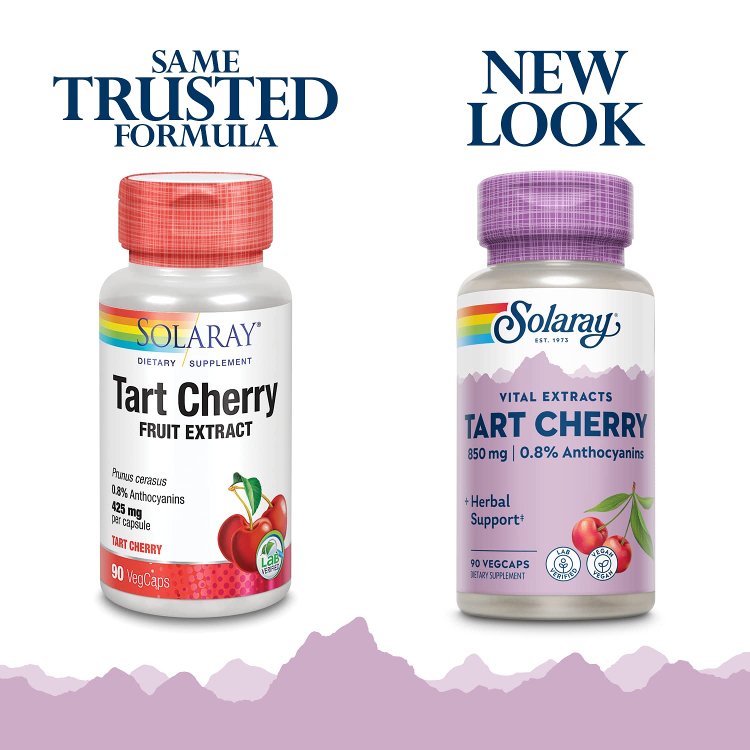 Solaray Tart Cherry Fruit Extract 850 mg - Tart Cherry Supplement with Antioxidants, Fruit Juice Extract with Flavonoids - 90 VegCaps - TrustMedUSA