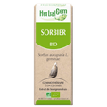 Sorbier BIO Macérat mère Flacon 30 ml HERBALGEM - TrustMedUSA