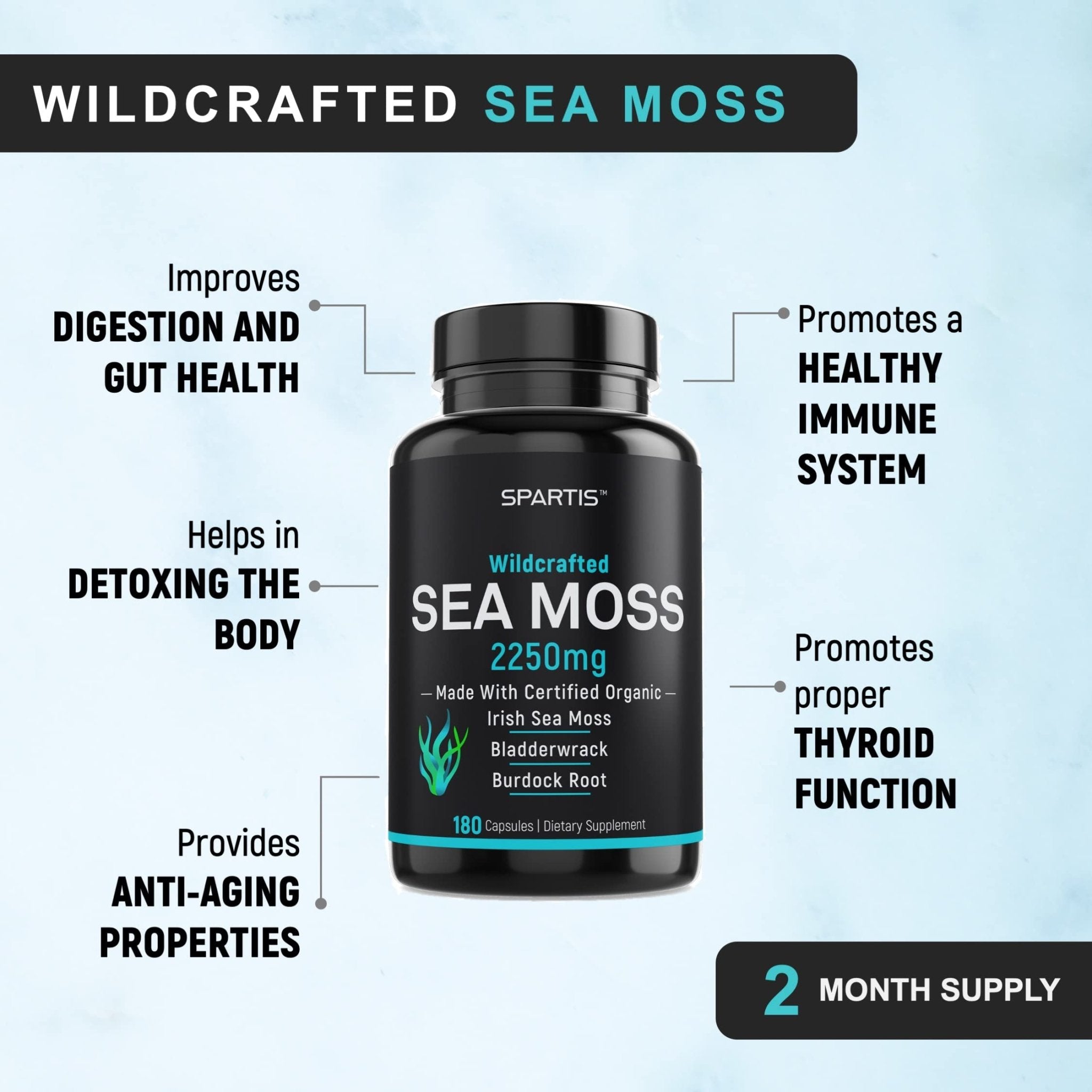 SPARTIS Certified Organic Sea Moss Capsules 2250mg Wildcrafted Irish Sea Moss Burdock Root Bladderwrack Supplement Raw Seamoss Pills & Powder (Pack of 1 at 180-Caps) - TrustMedUSA