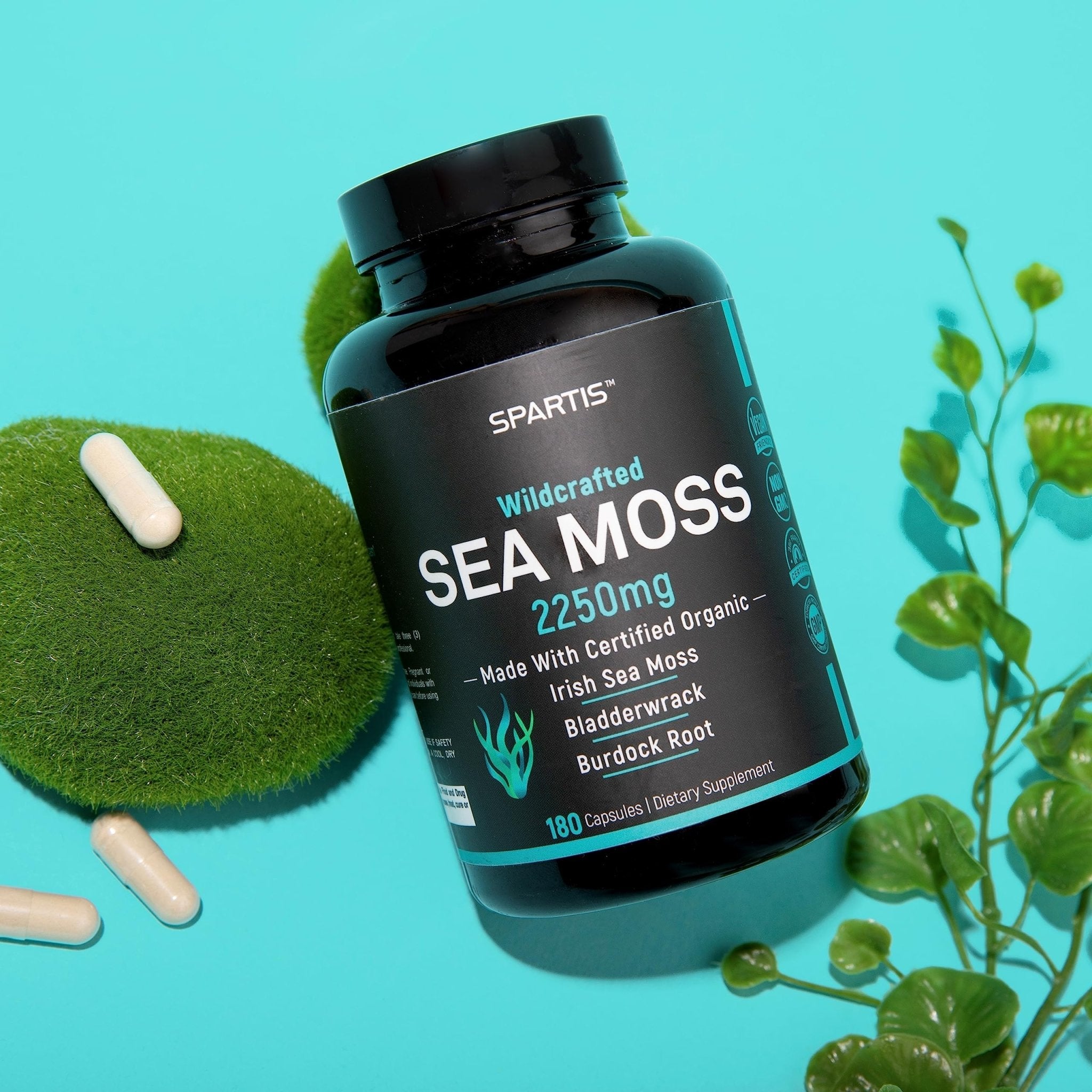 SPARTIS Certified Organic Sea Moss Capsules 2250mg Wildcrafted Irish Sea Moss Burdock Root Bladderwrack Supplement Raw Seamoss Pills & Powder (Pack of 1 at 180-Caps) - TrustMedUSA