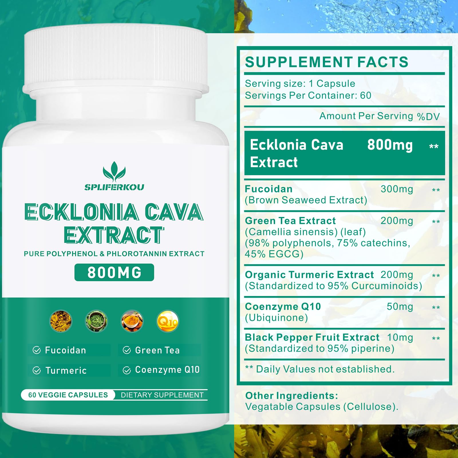 Spliferikou Ecklonia Cava Extract, 800mg, 60 Veggie Capsules with Fucoidan, Green Tea, Turmeric, CoQ10, Dietary Supplement - TrustMedUSA