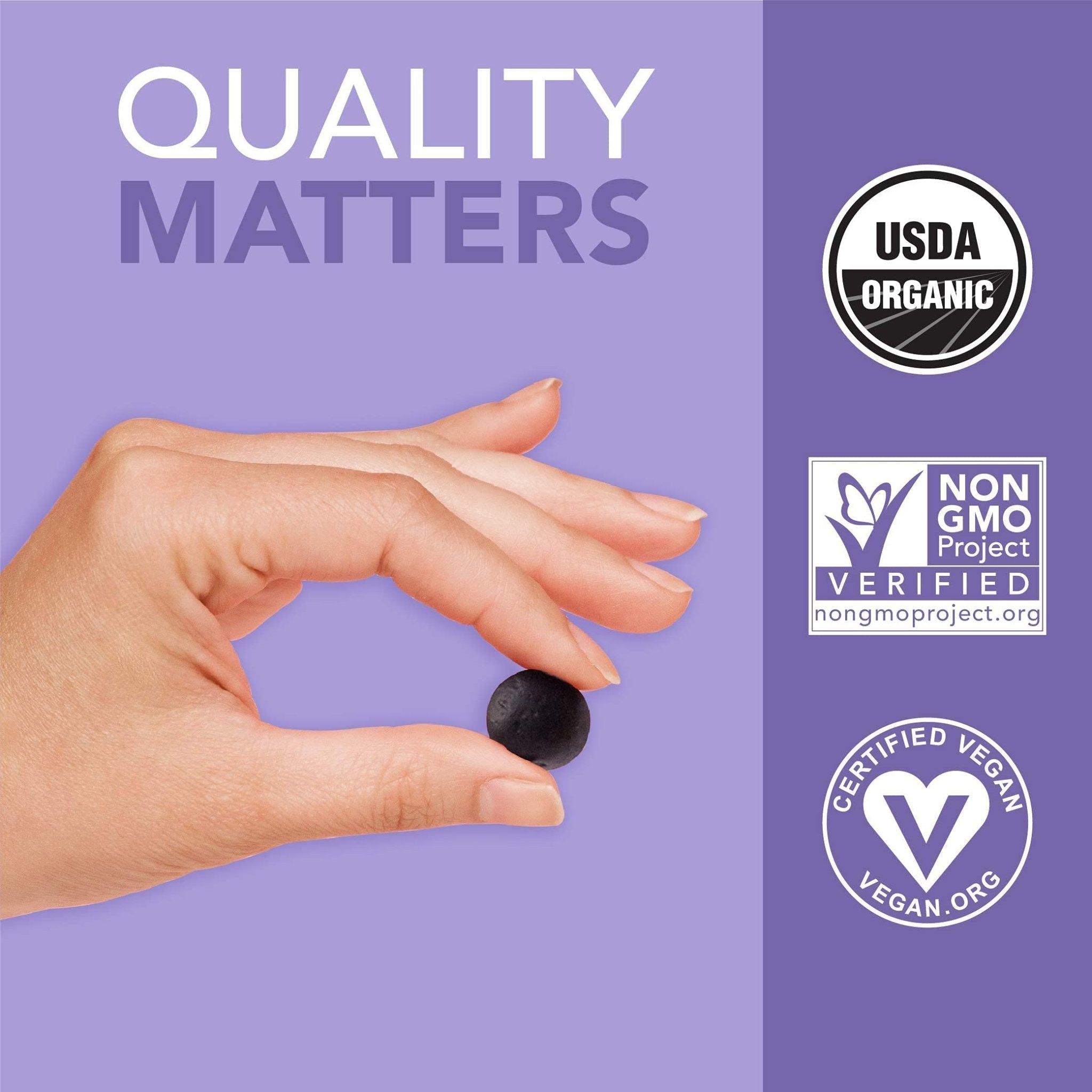Sports Research Elderberry Gummies Concentrate with Vitamin C, Zinc & Probiotics for Immune Support & Gut Health | USDA Organic, Vegan Certified & Non-GMO Verified (120 Gummies) - Maple Wellness Supplements