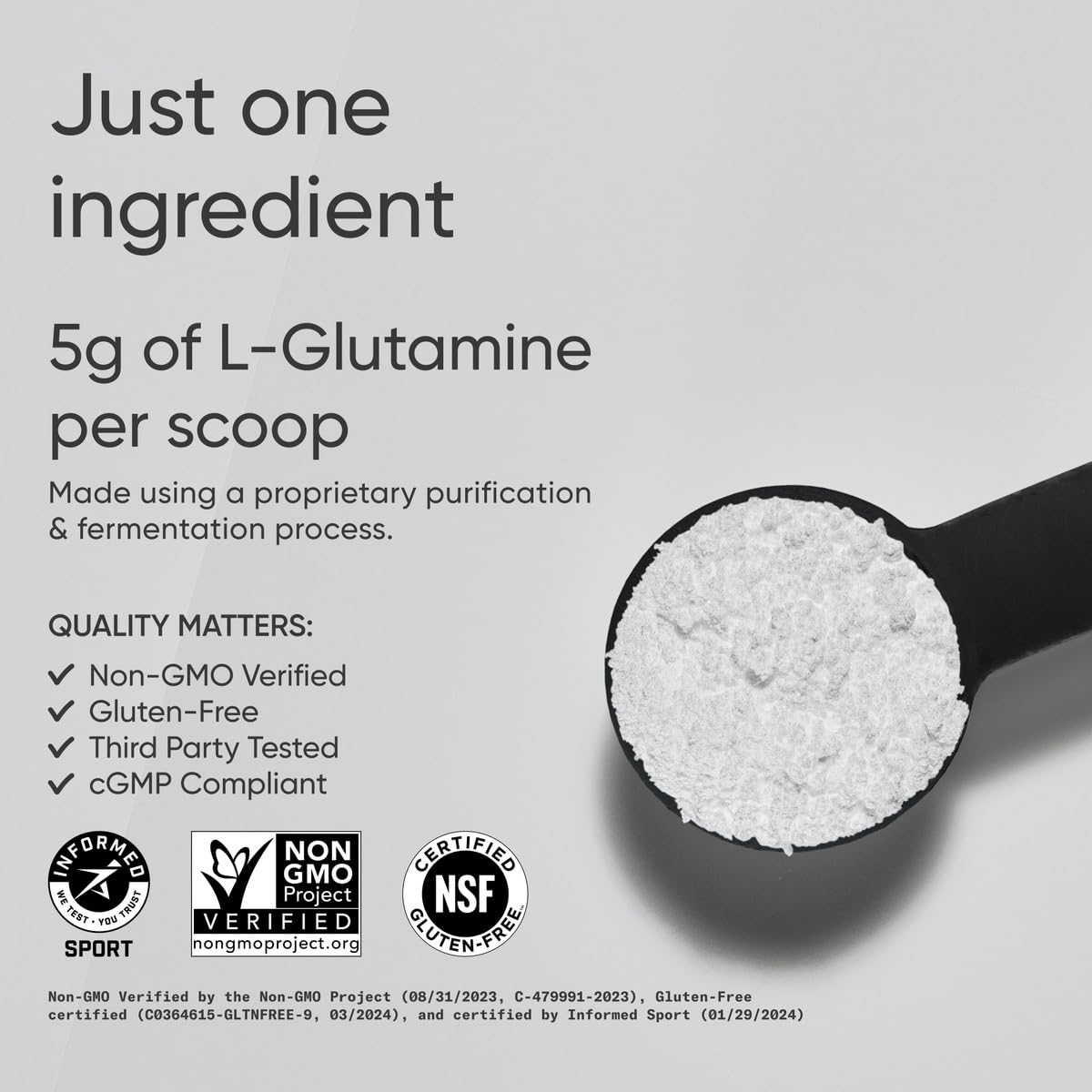 Sports Research L-Glutamine - Workout Recovery, Immune Health & Gut Health Support - 5 G Per Serving - 17.64 Oz - Maple Wellness Supplements