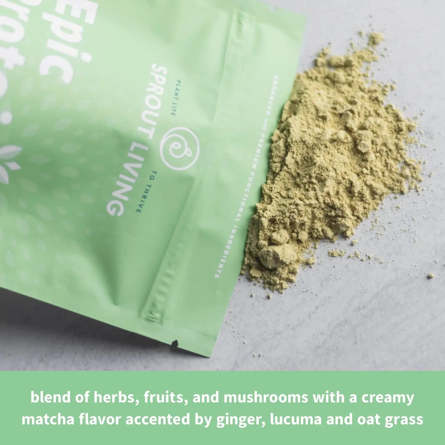 Sprout Living Epic Protein, Plant Based Protein & Superfoods Powder, Mindful Matcha - TrustMedUSA