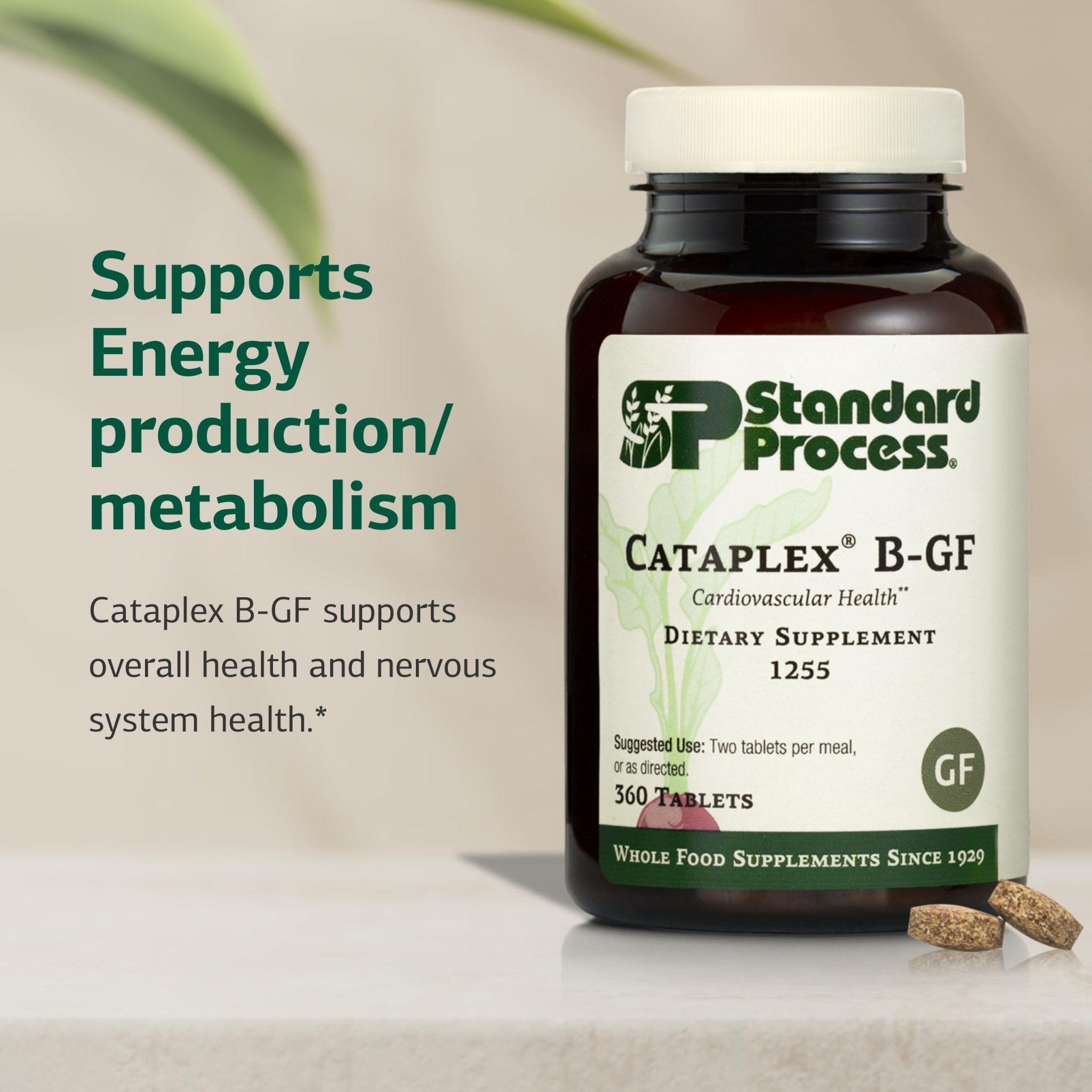 Standard Process Cataplex B-GF - Supports Nervous System Health - B Vitamins for Energy & Heart Support - Aids Energy During Physical Activity - Gluten-Free, Non-Soy & Non-Dairy - 360 Tablets - TrustMedUSA