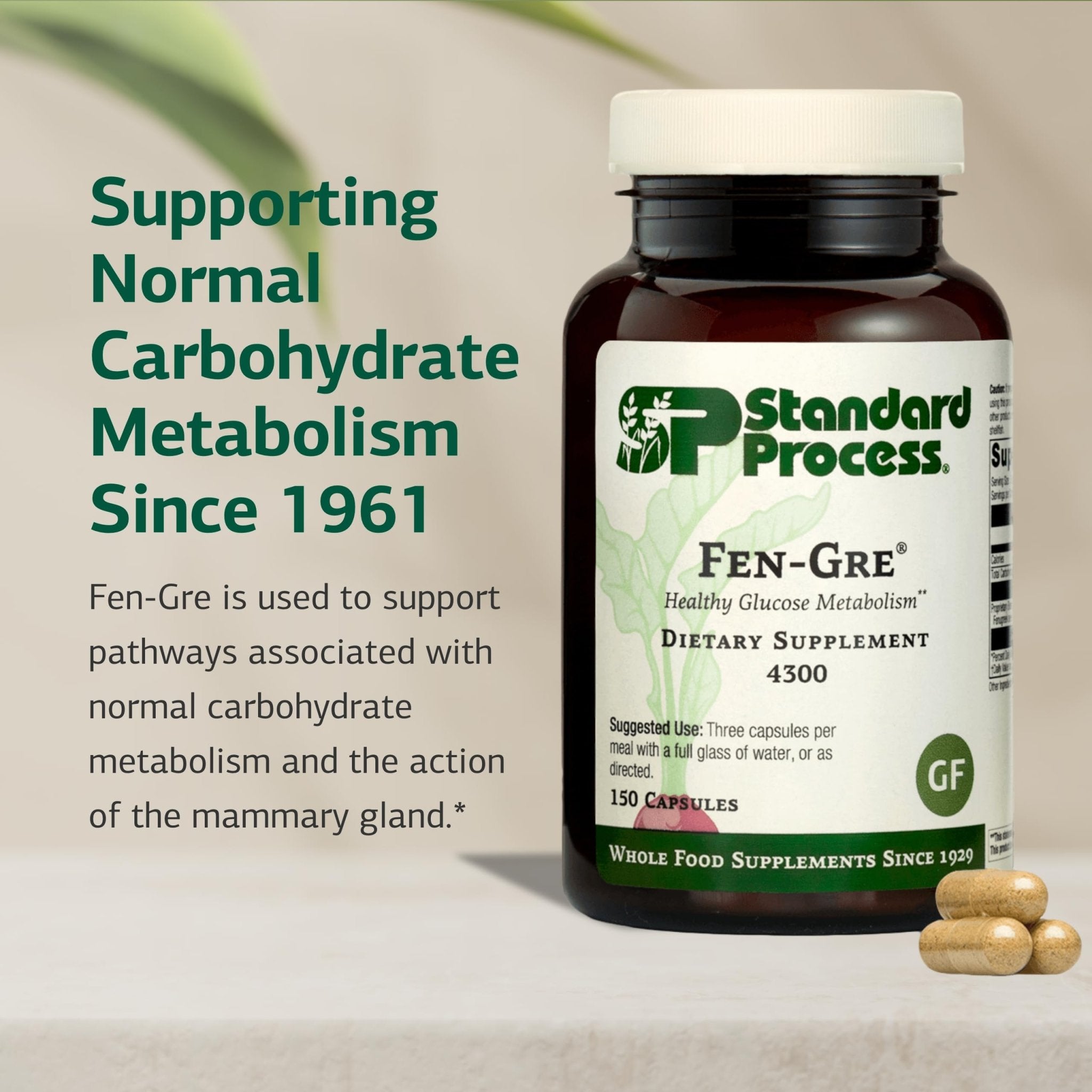 Standard Process Fen-Gre - Supports Respiratory Support & Healthy Metabolism - Aids Healthy Levels of Mucus & Phlegm - Supports Lung Health & Bronchial Tubes - Gluten-Free & Non-Dairy - 150 Capsules - TrustMedUSA