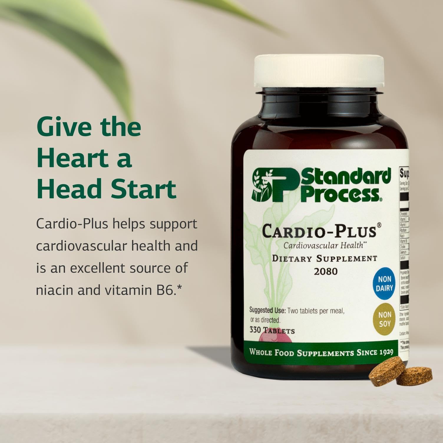Standard Process Inc. Cardio-Plus - Antioxidant Support - Heart Health, Circulation & Blood Flow Supplement with Vitamin B6, Niacin & Riboflavin - Energy Metabolism Supplement - 330 Tablets - TrustMedUSA