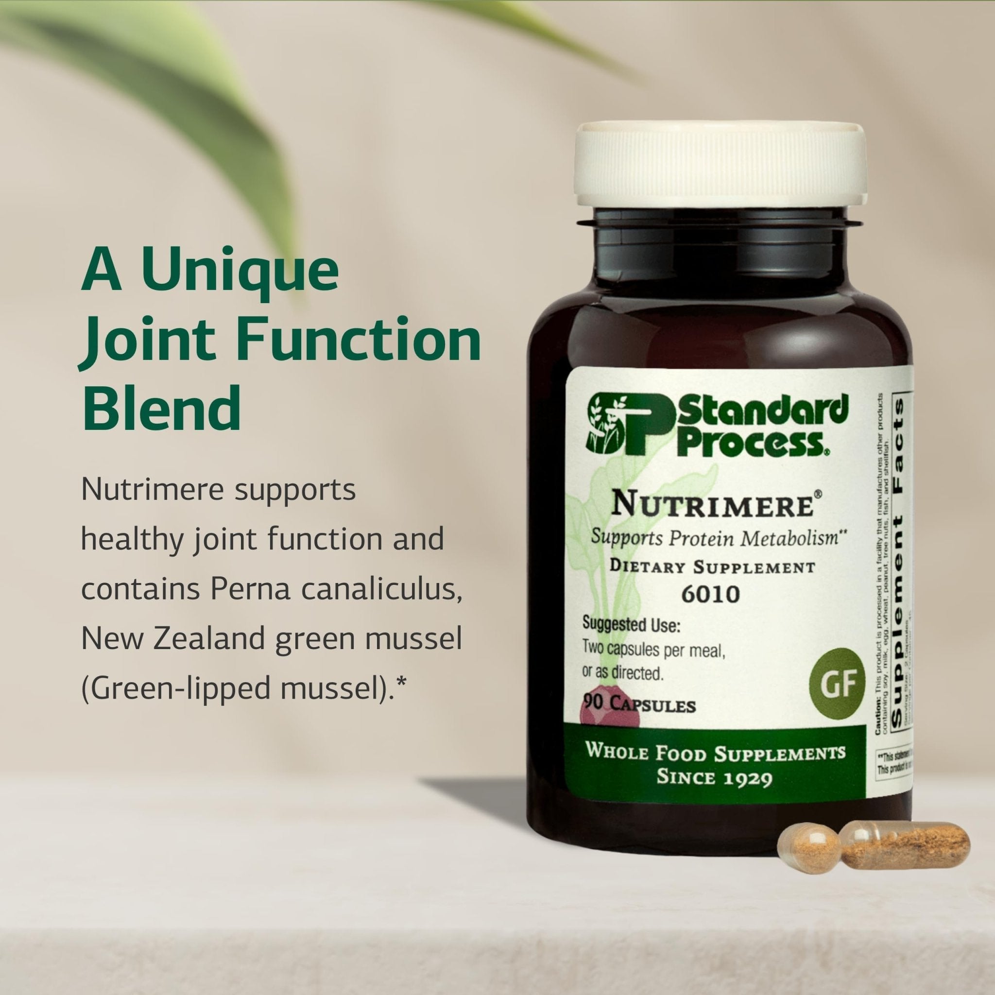 Standard Process Nutrimere - Supports Joint Health - Joint Supplement with Perna Canaliculus & New Zealand Green Mussel - Gluten-Free, Non-Soy & Non-Dairy - 90 Capsules - TrustMedUSA