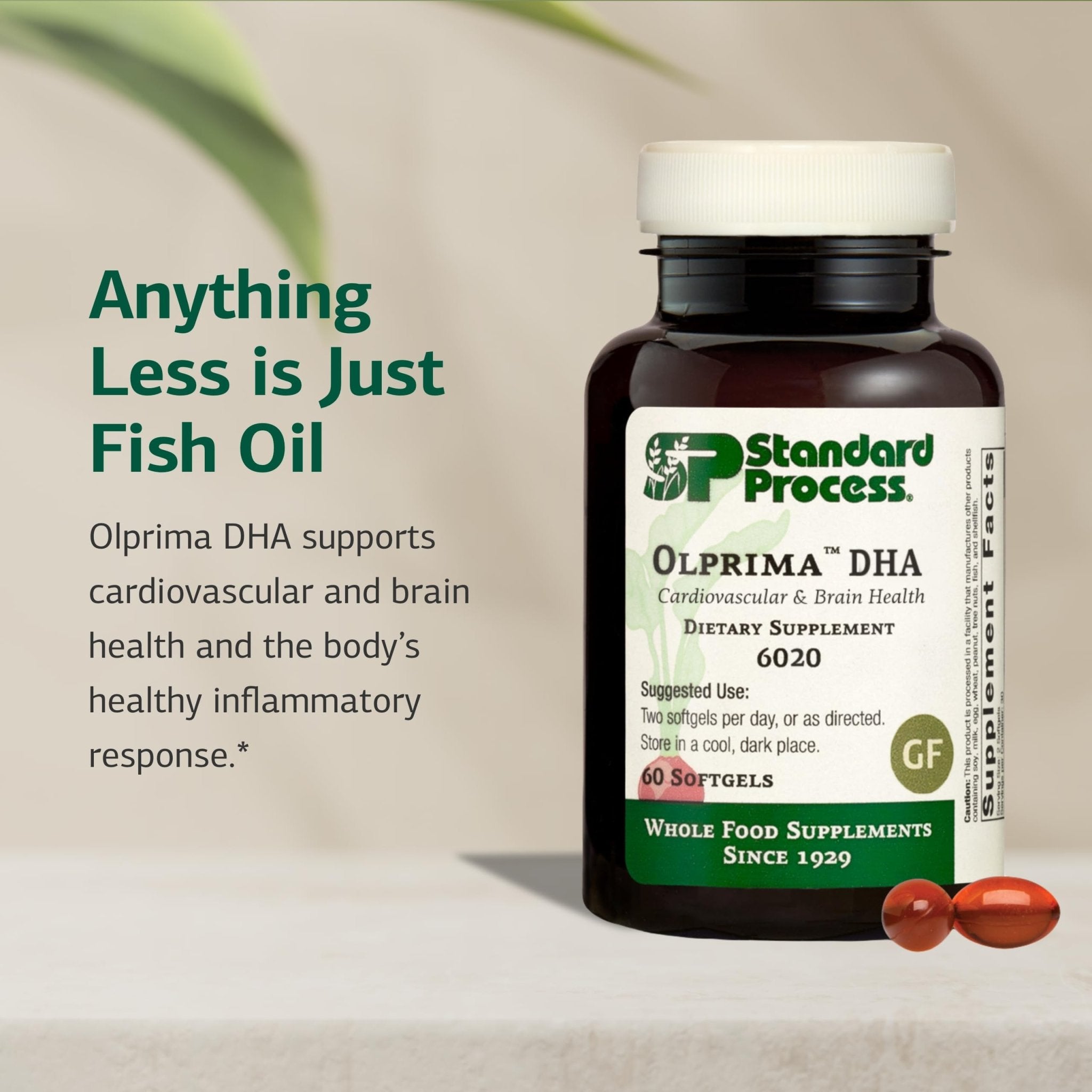 Standard Process Olprima DHA - Omega-3 Supplement for Heart & Brain Health - Gluten-Free, Non-Dairy & Non-Soy - 60 Softgels (30 Servings) - TrustMedUSA