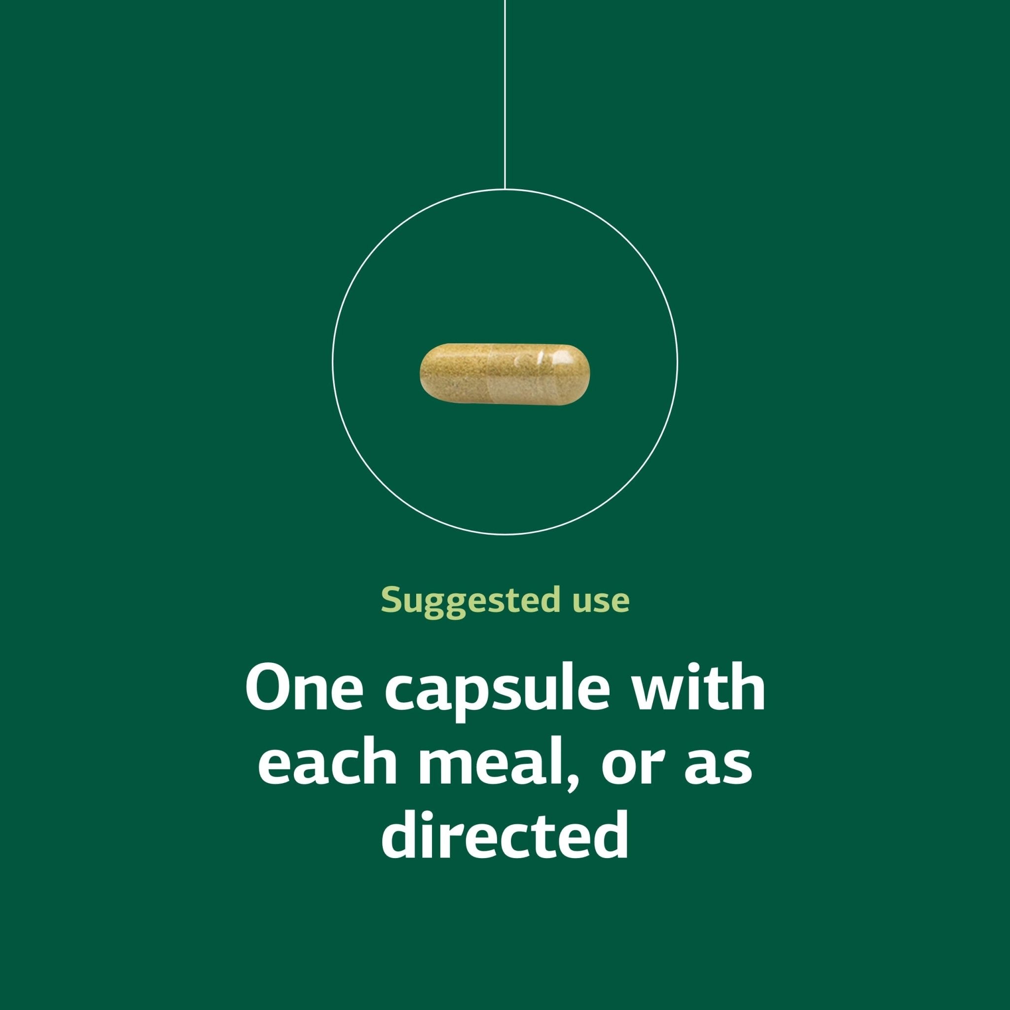 Standard Process Ostarplex - Dietary Supplement for Connective Tissue Health - Aids Liver Health & Function - Contains Vitamin B6 - Non-Dairy - 90 Capsules (90 Servings) - TrustMedUSA