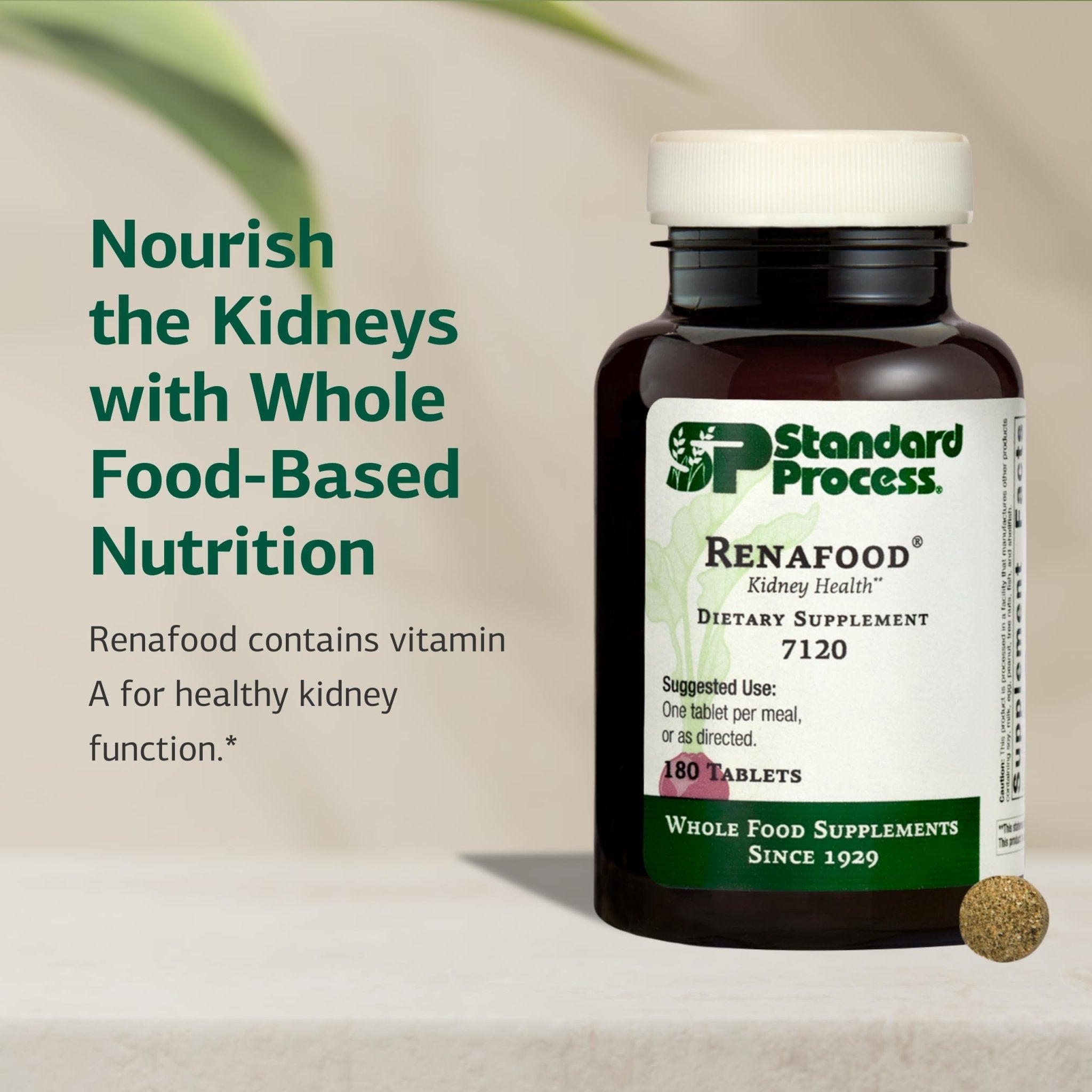Standard Process Renafood - Supports Healthy Kidney Function & Antioxidant Activity - Contains Vitamins A - Non-Soy - 180 Tablets - TrustMedUSA