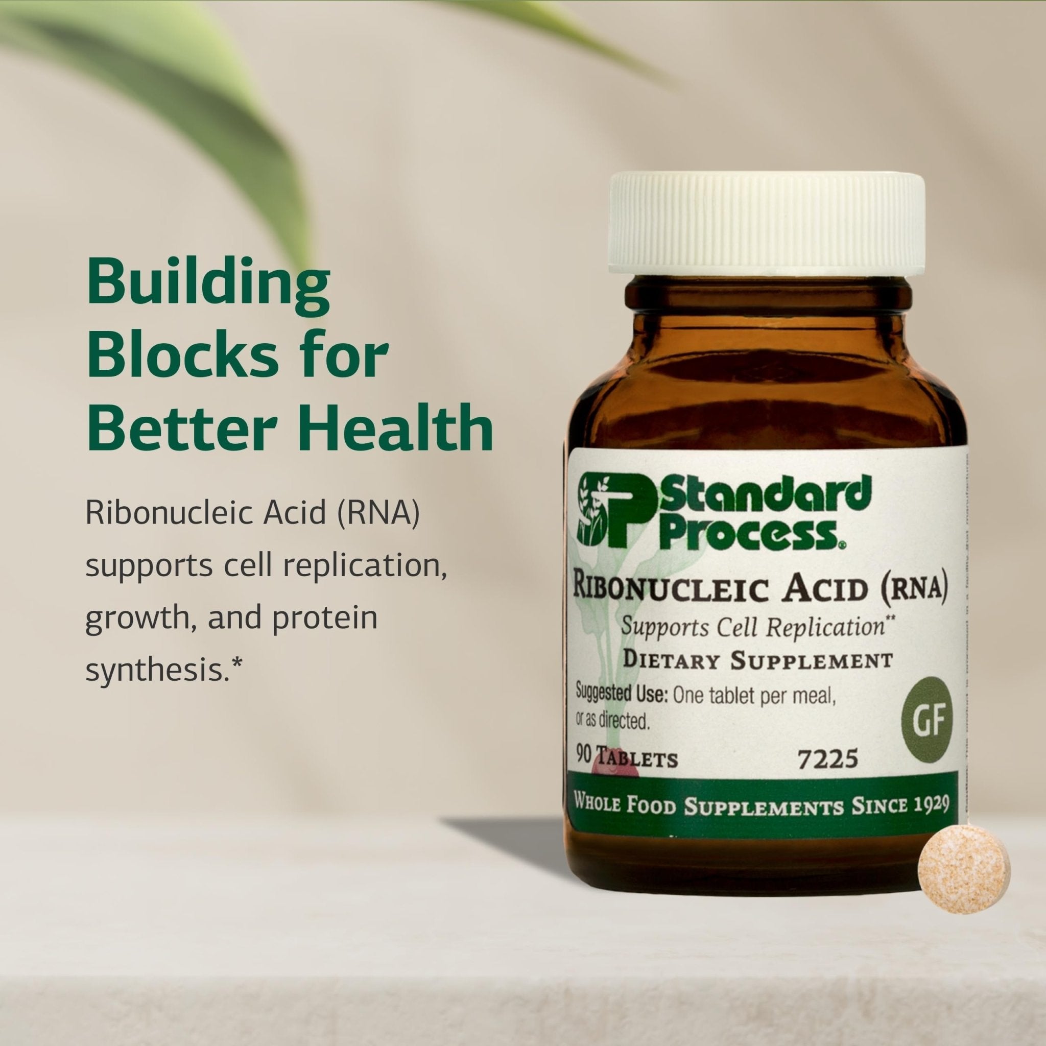Standard Process Ribonucleic Acid RNA - Cell Development Support - Aids Protein Synthesis - Vegan, Gluten-Free, Non-Soy, & Non-Grain - 90 Tablets (90 Servings) - TrustMedUSA