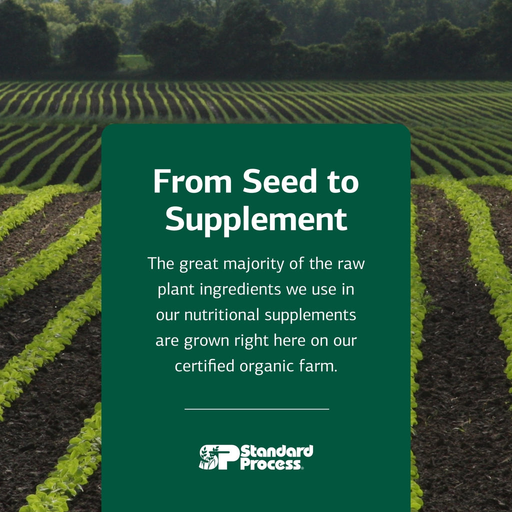 Standard Process Ribonucleic Acid RNA - Cell Development Support - Aids Protein Synthesis - Vegan, Gluten-Free, Non-Soy, & Non-Grain - 90 Tablets (90 Servings) - TrustMedUSA