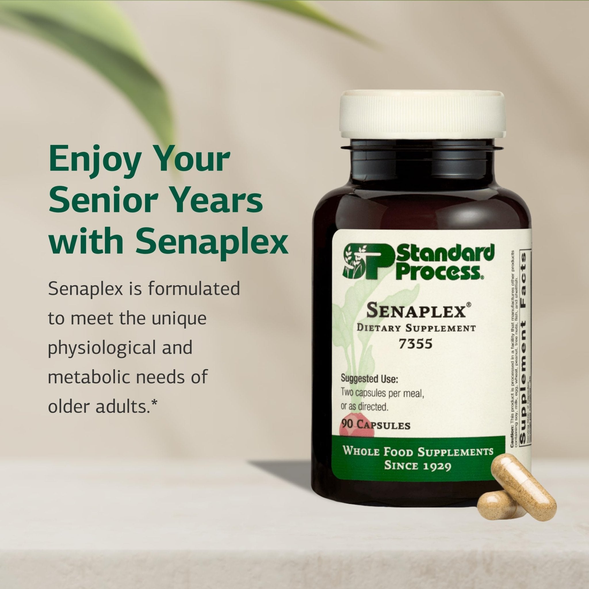 Standard Process Senaplex - Nervous System Support with Niacin, Vitamin B12 & B6 - Supports Brain Health & Cellular Health - Offers Antioxidant Activity - Non-Dairy - 90 Capsules (45 Servings) - TrustMedUSA
