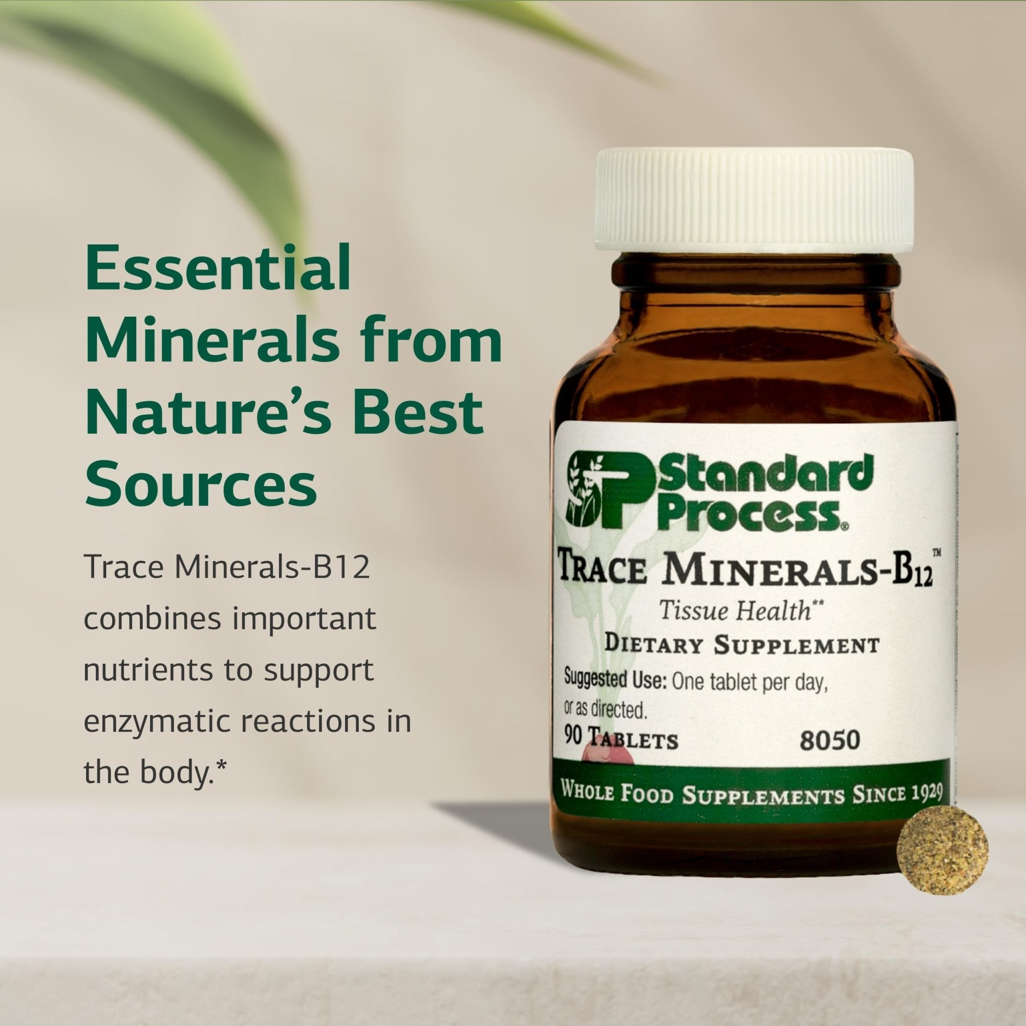 Standard Process Trace Minerals-B12 - Thyroid & Cell Functioning Support with Iodine, Zinc & Copper - Cartilage & Bone Health Aid - Non-Dairy & Non-Soy - 90 Tablets (90 Servings) - TrustMedUSA