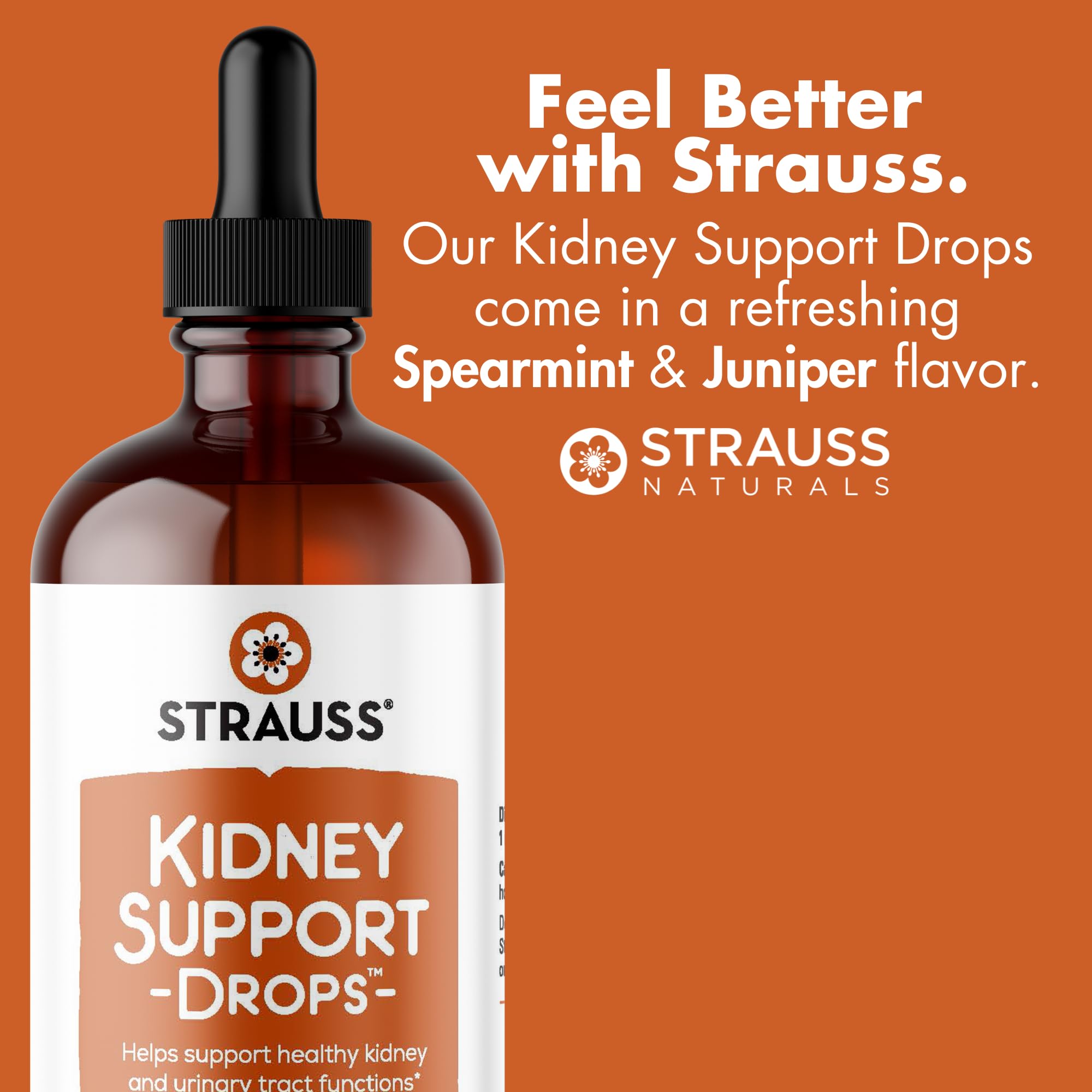 Strauss Naturals Kidney Support Drops – Herbal Kidney Support Supplement for Men and Women – Helps with Kidney Health and Urinary Tract Function – Vegan & Non-GMO – Spearmint Flavored – 100 ml Bottle - TrustMedUSA