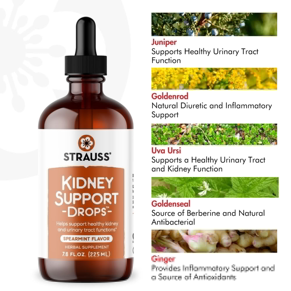 Strauss Naturals Kidney Support Drops – Herbal Kidney Support Supplement for Men and Women – Helps with Kidney Health and Urinary Tract Function – Vegan & Non-GMO – Spearmint Flavored – 100 ml Bottle - TrustMedUSA