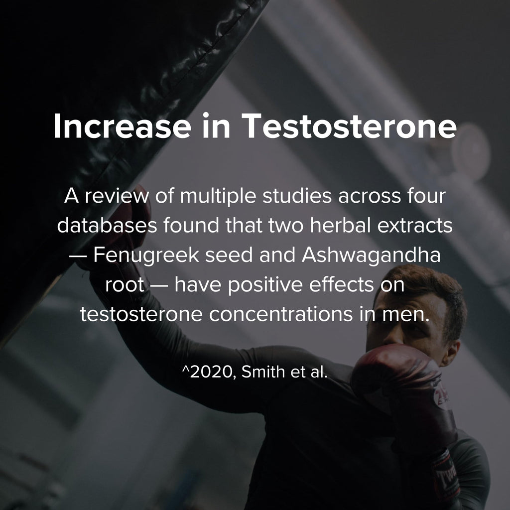 STRIVLABS Peak Potential 12-in-1 Testosterone Support for Men – Natural Strength, Energy & Muscle Builder with Tongkat Ali, Ashwagandha & Fenugreek – 90 Capsules - TrustMedUSA
