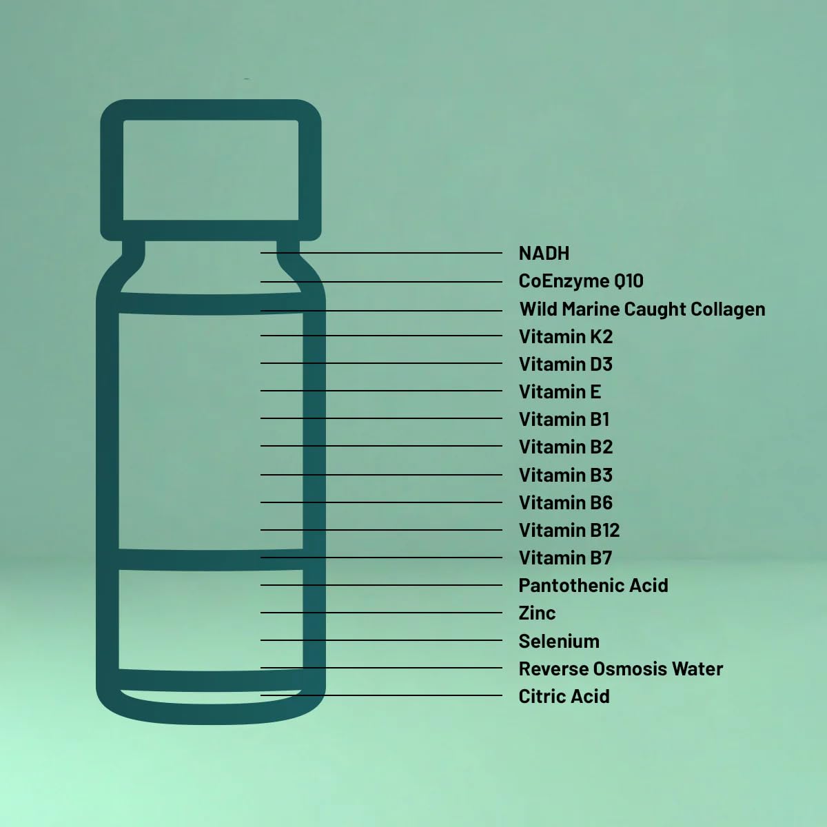 Strong Cell | Cellular Function Booster Liquid | NADH, CoQ10, Collagen. 90+% Absorption Rate. Vitamins B1, B2, B3, B6, B7, and B12. Vitamin K2 | 30 Count. - TrustMedUSA