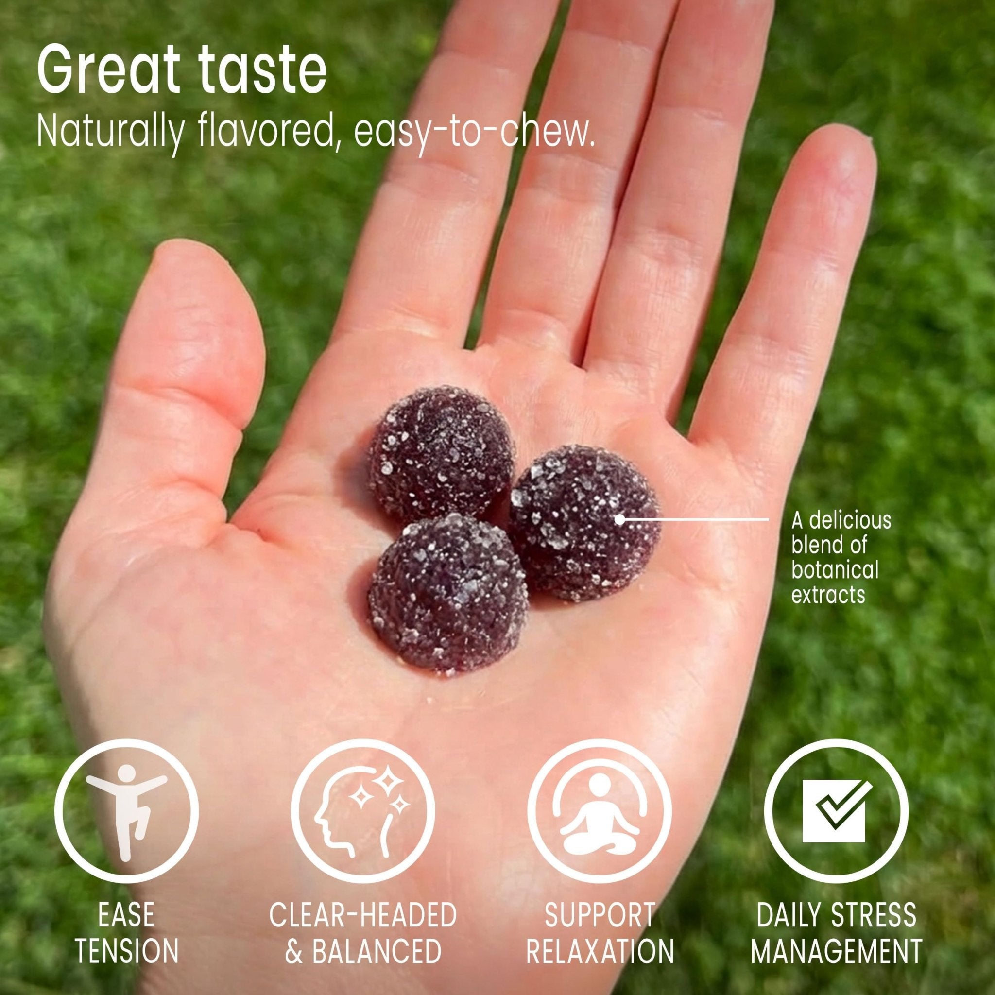 Sunsoil A World of Calm Organic Gummies, USDA Certified Organic, No Glucose, Vegan, Gluten-Free, Plant-Based - TrustMedUSA