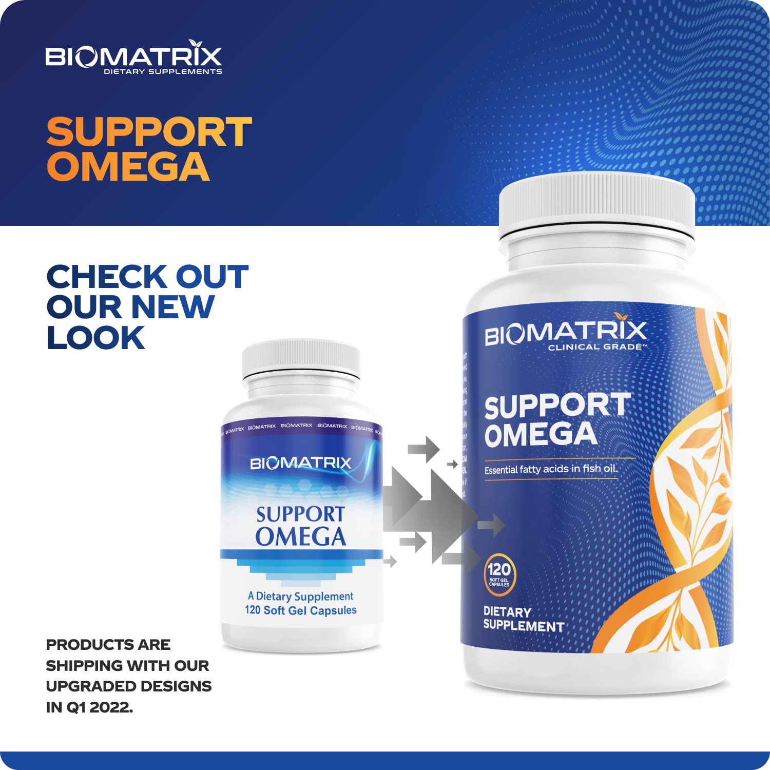 Support Omega EPA DHA Omega 3 Fish Oil Supplement - Cardiovascular, Musculoskeletal Support (120 Gel Capsules) - Maple Wellness Supplements