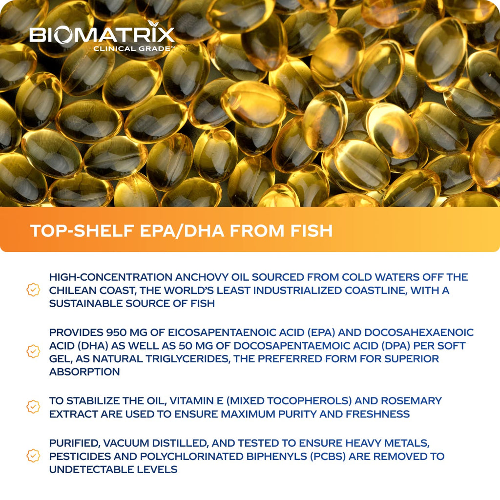 Support Omega EPA DHA Omega 3 Fish Oil Supplement - Cardiovascular, Musculoskeletal Support (120 Gel Capsules) - Maple Wellness Supplements