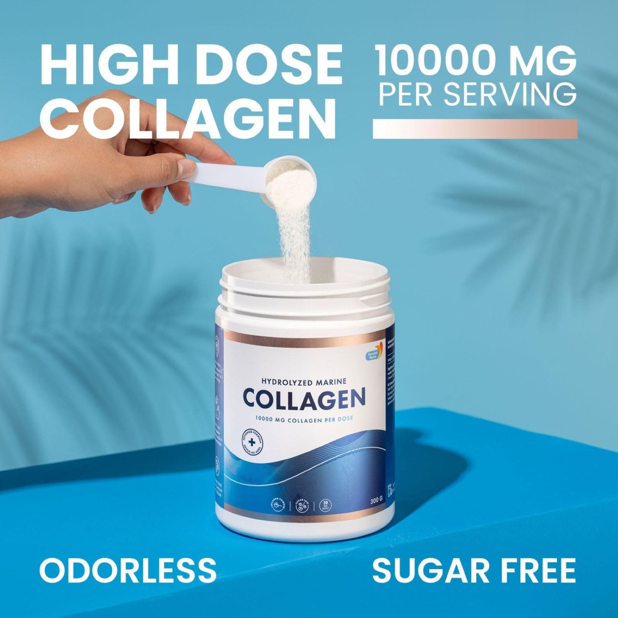 Swedish Nutra 10,000 mg Hydrolysed Marine Collagen Powder Supplement - 30 Day Supply| Type 1 & 3 Collagen, Pure Peptides for Healthy Hair, Skin, Nails, Joints I Unflavored | 100% Natural | Sugar-Free - Maple Wellness Supplements