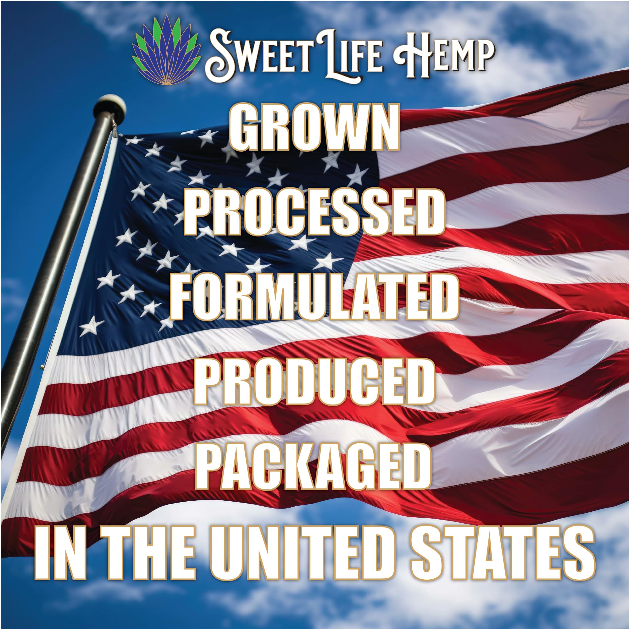 Sweet Life | Hemp Salve Stick | 3000mg | Organic Botanical Balm | Twist-Up Applicator | Small Business | Muscle & Joint Comfort - TrustMedUSA