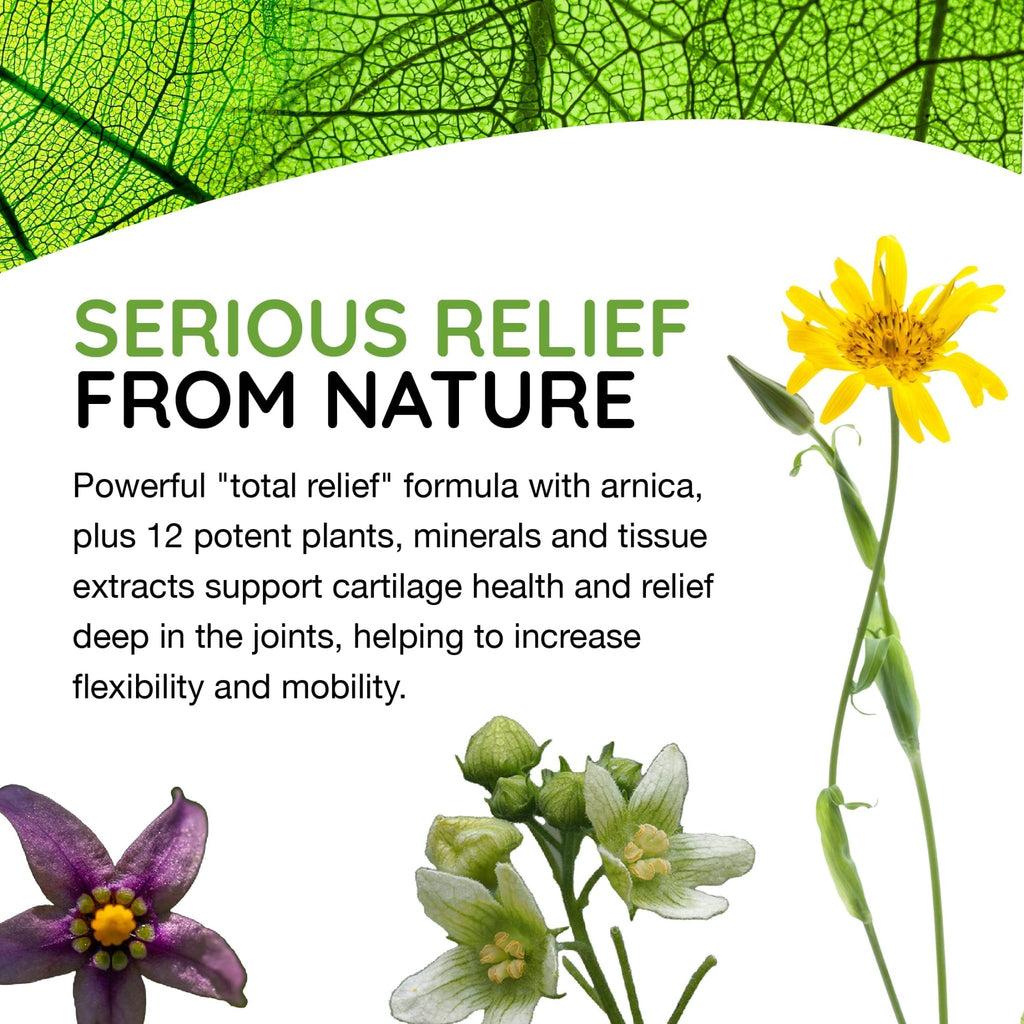 T-Relief Arthritis Arnica +12 Pain Relieving Natural Medicines Help Reduce Soreness Stiffness Aches & Pains in Joints Naturally - 100 Tablets (2 Pack) - TrustMedUSA