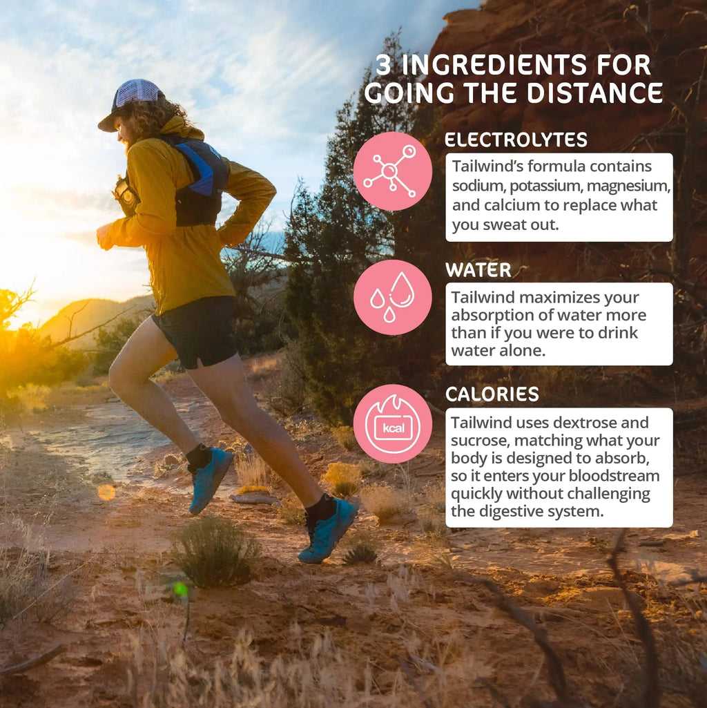 Tailwind Nutrition Endurance Fuel, Caffeine Drink Mix with Electrolytes - TrustMedUSA