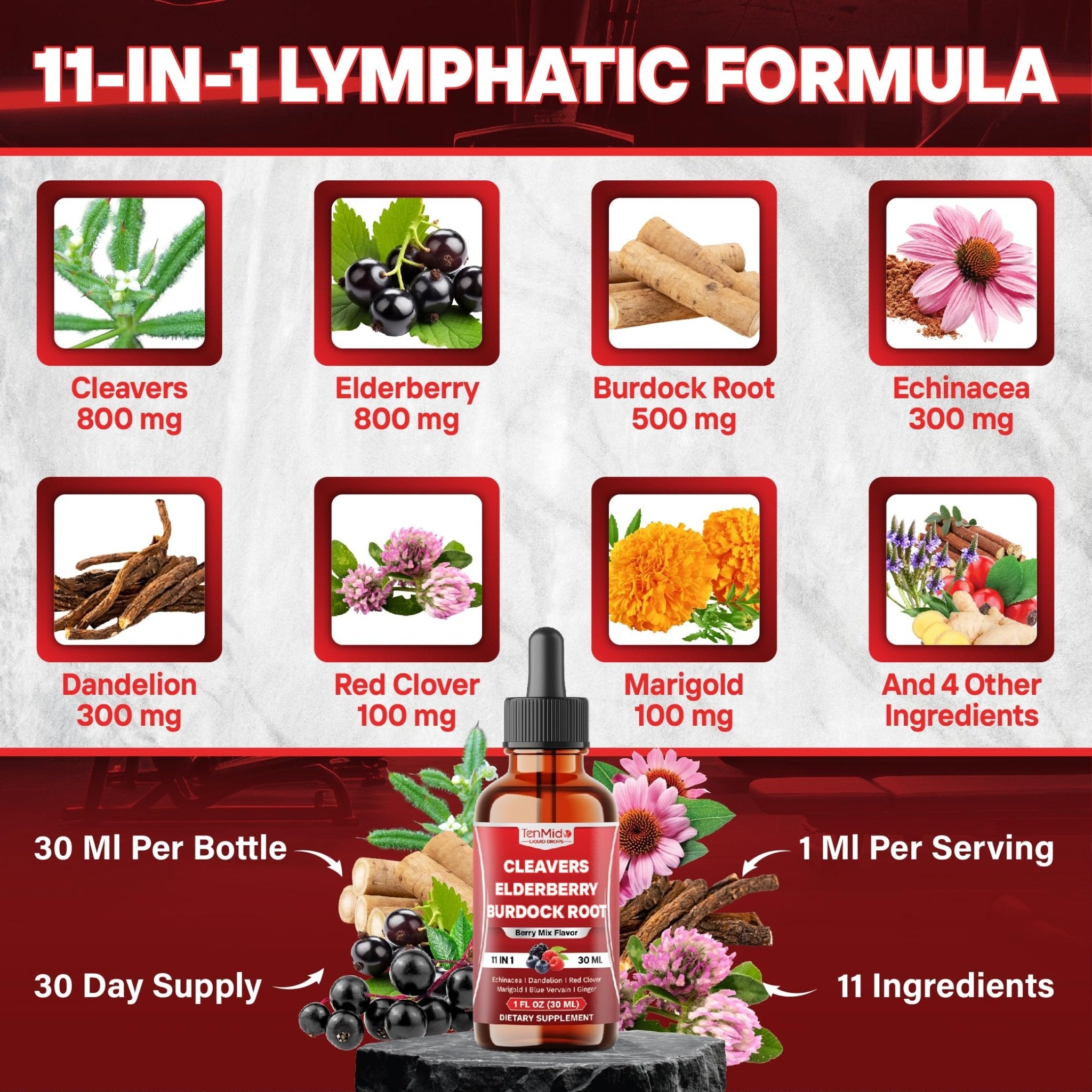 Tenmido 11in1 Lymphatic Drainage Drops with Cleavers, Elderberry, Burdock Root, Echinacea, Dandelion, Red Clover, Marigold, Blue Vervain, Ginger, Licorice, Rosehip - 30 Days Supply - 1FL Oz - Maple Wellness Supplements