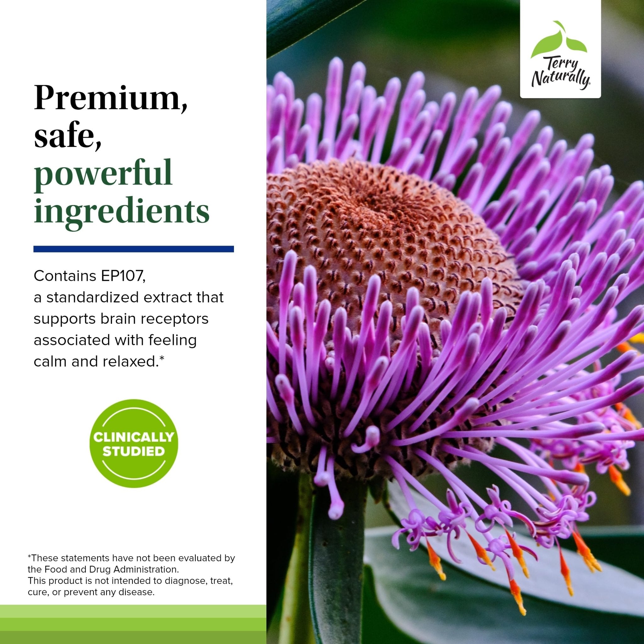 Terry Naturally AnxioCalm - Calming Support Supplement - Supports Against Occasional Tension & Aids Calm Feelings with Narrow-Leaved Coneflower - Non-Drowsy Supplement - 75 Tablets - TrustMedUSA
