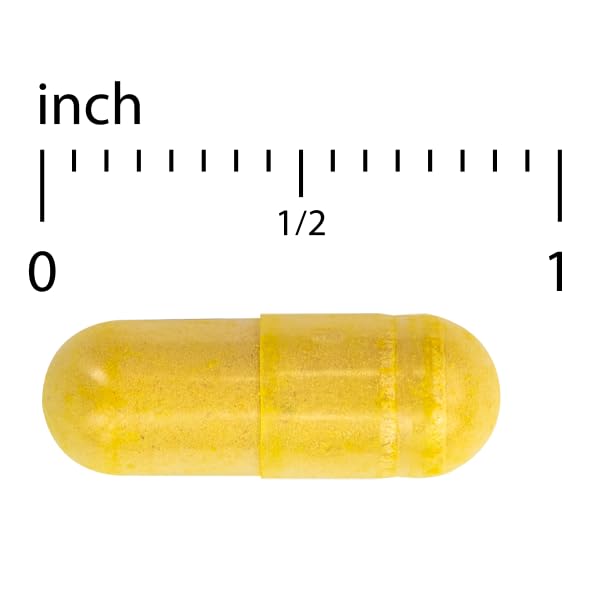 Terry Naturally Arthocin - Boswellia Serrata Capsules with Devil's Claw & Curcumin - Supplement to Support Joint & Spine Health - Herbal Supplement Aids Comfort & Absorption - 60 Capsules - TrustMedUSA