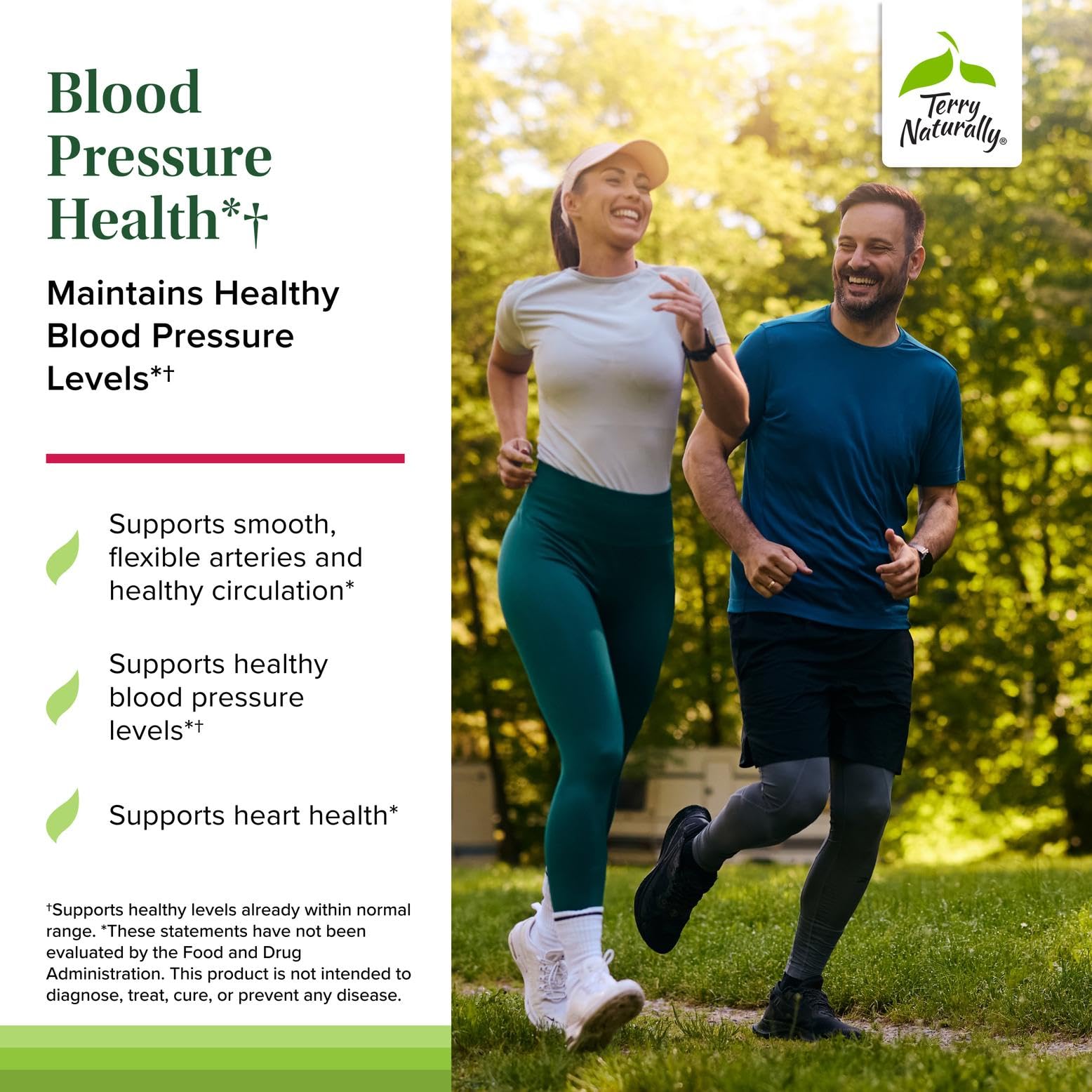 Terry Naturally Blood Pressure Health - Healthy Blood Flow & Circulation Support Supplement - Heart Health Supplement with Antioxidants - Cardiovascular Support - 60 Capsules - TrustMedUSA