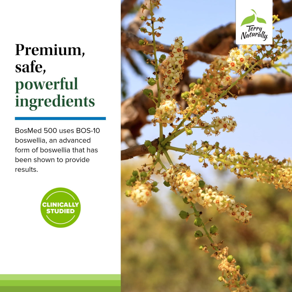 Terry Naturally BosMed 500 Extra Strength - Boswellia Serrata Extract Supplement - Supplement for Healthy Lung Support - Herbal Supplement Formula with High Levels of AKBA - 120 Softgels - TrustMedUSA