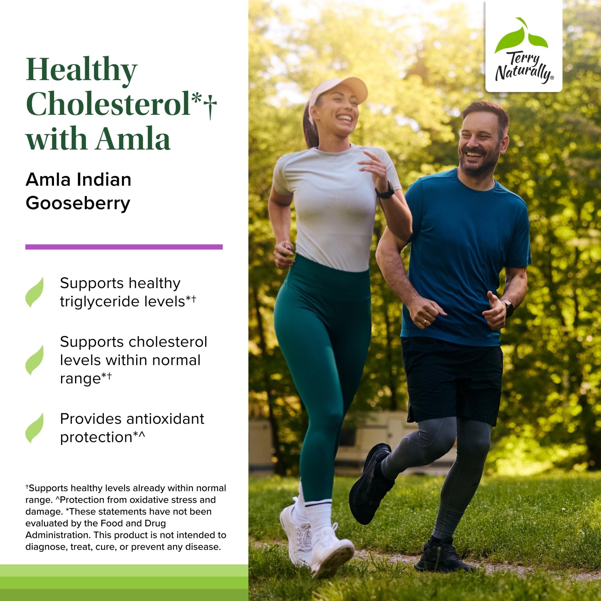 Terry Naturally Healthy Cholesterol with Amla - Antioxidant Supplement for Immune & Heart Support - Supplement to Aid Healthy Cholesterol & Triglyceride - 60 Capsules - TrustMedUSA