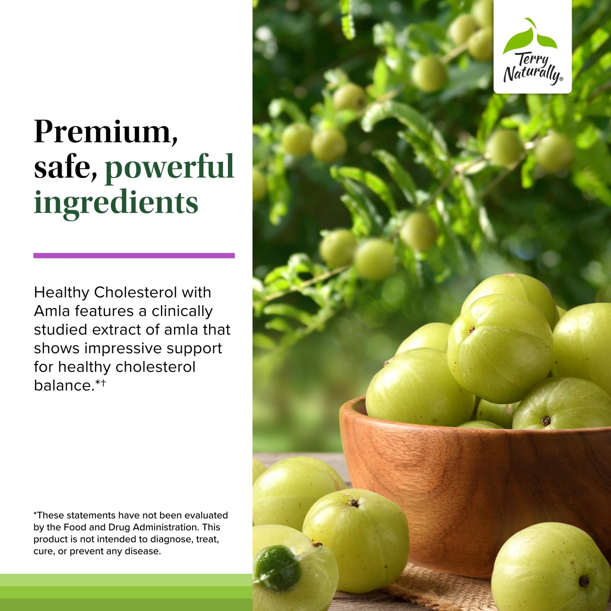 Terry Naturally Healthy Cholesterol with Amla - Antioxidant Supplement for Immune & Heart Support - Supplement to Aid Healthy Cholesterol & Triglyceride - 60 Capsules - TrustMedUSA