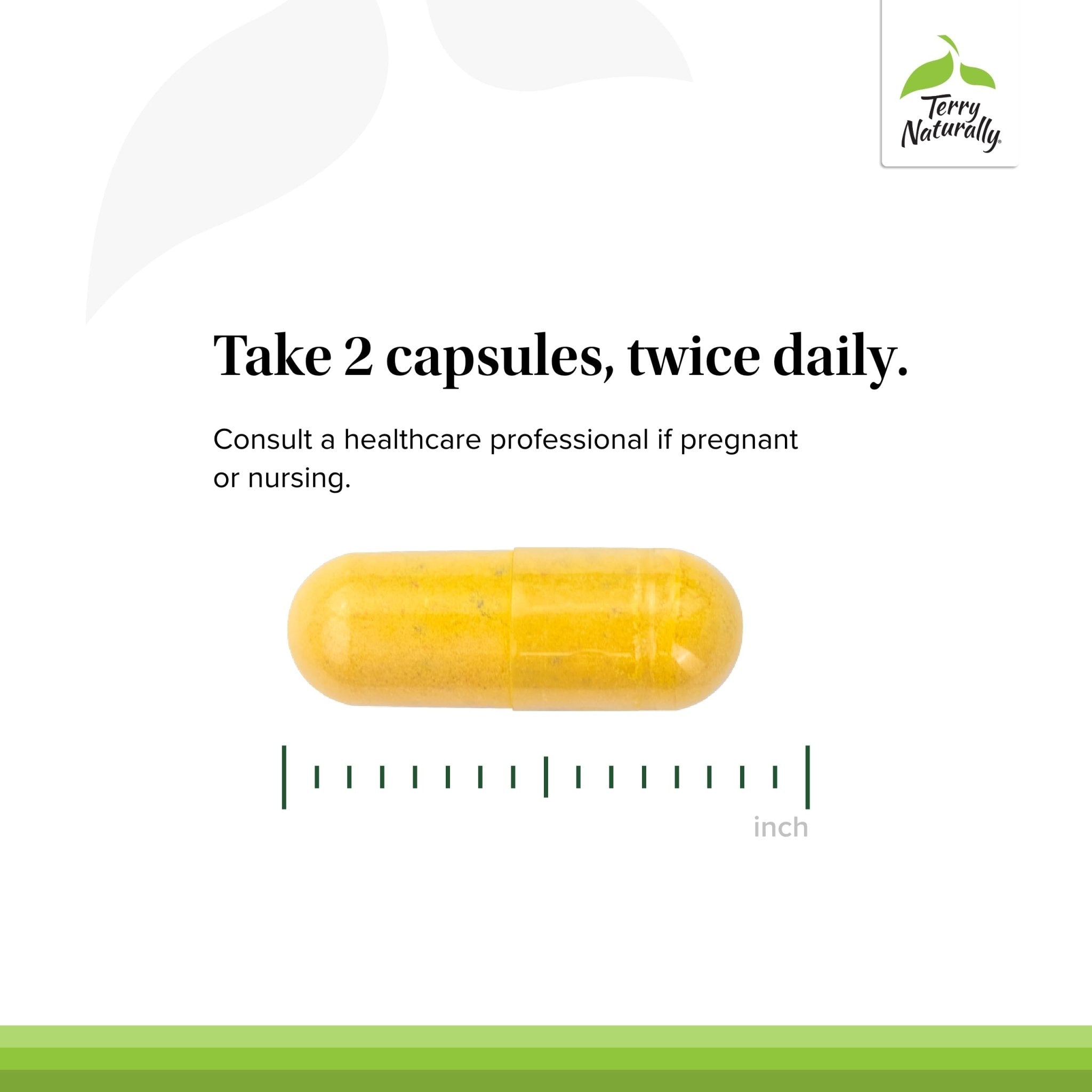 Terry Naturally Healthy Feet & Nerves - Herbal Supplement with Bioactive Vitamin B12 - Circulation & Nerve Health Support Supplement - Vegan Capsules with Boswellia Serrata - 60 Capsules - TrustMedUSA