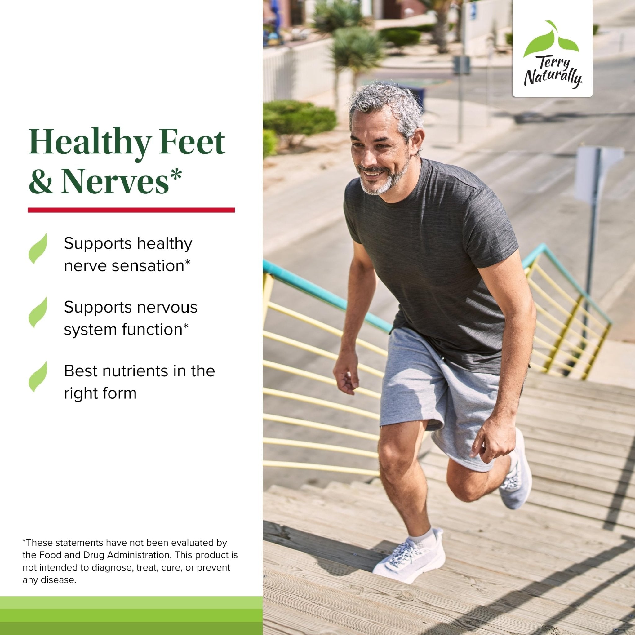 Terry Naturally Healthy Feet & Nerves - Herbal Supplement with Bioactive Vitamin B12 - Circulation & Nerve Health Support Supplement - Vegan Capsules with Boswellia Serrata - 60 Capsules - TrustMedUSA