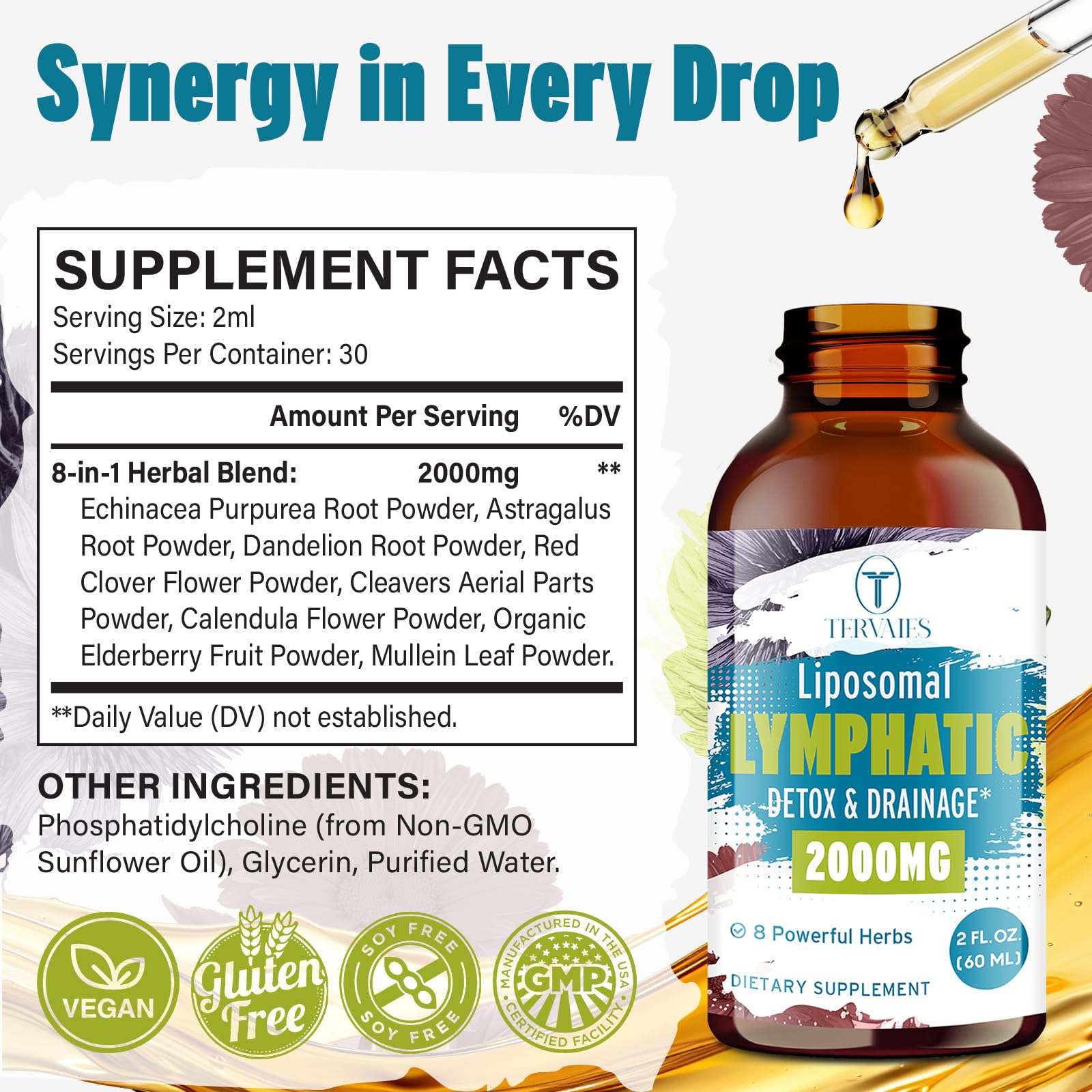 Tervaies Liposomal Lymphatic Drainage Drops 2000mg – Herbal Blend with Elderberry & Echinacea – 2 FL OZ - Maple Wellness Supplements