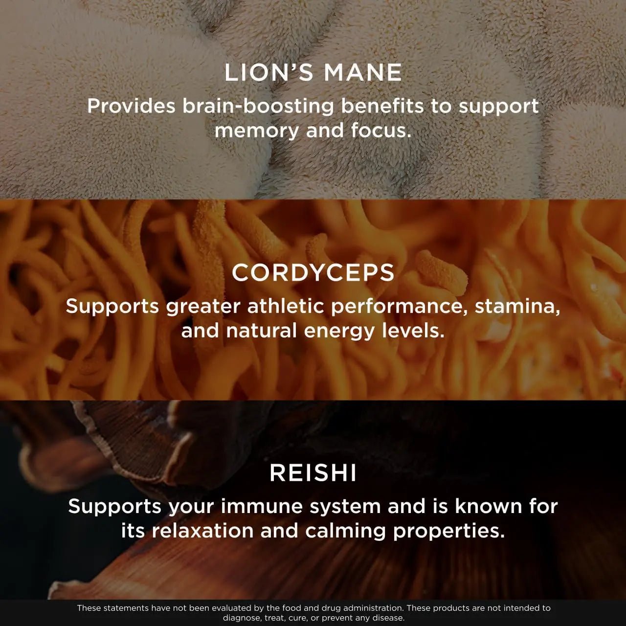 The Genius Brand Genius Mushroom - Plant-Based Supplement for Immune, Focus & Energy Support - Lion's Mane, Cordyceps & Reishi - Organic & Non-GMO - Butter Toffee - 60 Soft Chews - TrustMedUSA