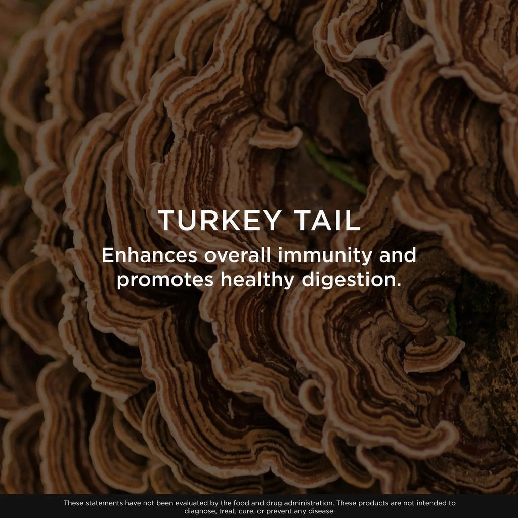 The Genius Brand Genius Turkey Tail - Plant-Based Supplement for Immune, Gut & Antioxidant Support - Organic & Non-GMO - 120 Veggie Capsules - TrustMedUSA