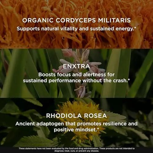 The Genius Brand Rise + Shine Nootropic – Cordyceps & Rhodiola Rosea – Caffeine-Free Energy & Mood Support – Focus, Clarity & Emotional Balance – 30 Servings - TrustMedUSA