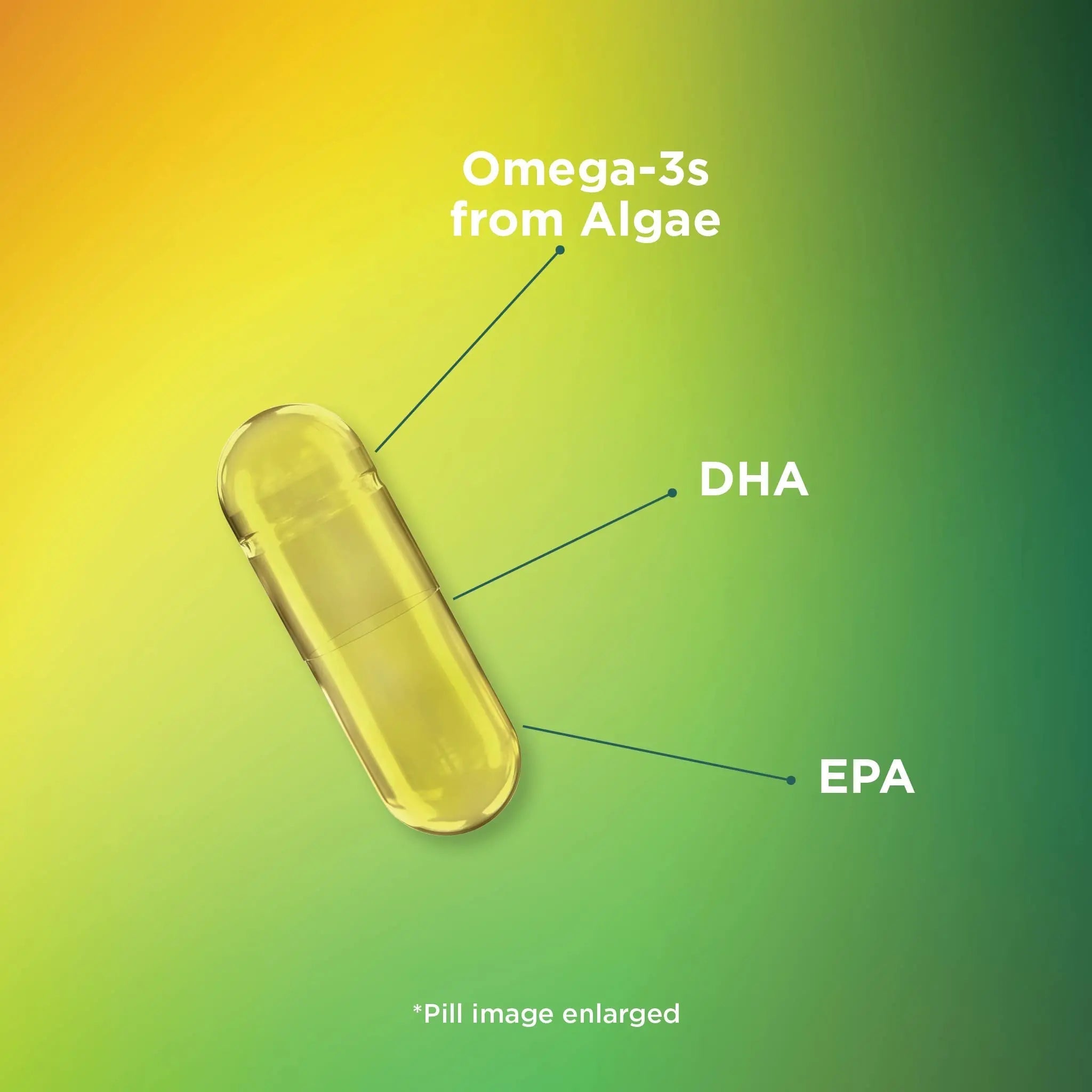 Theralogix PhytoLife Omega - 90-Day Supply - Vegan Algae Omega-3 Supplement - TrustMedUSA