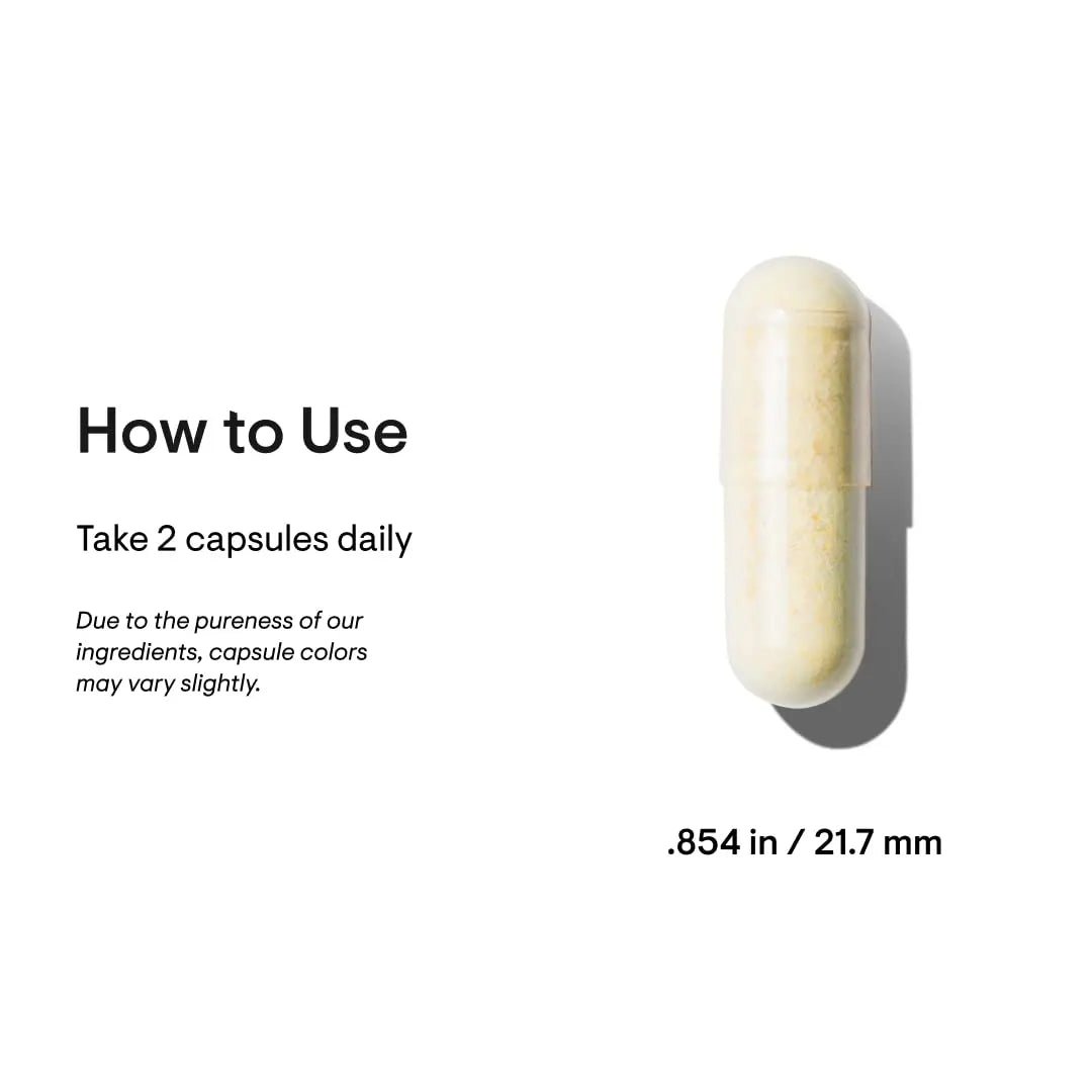 THORNE Basic Nutrients 2/Day - Comprehensive Daily Multivitamin with Optimal Bioavailab - TrustMedUSA
