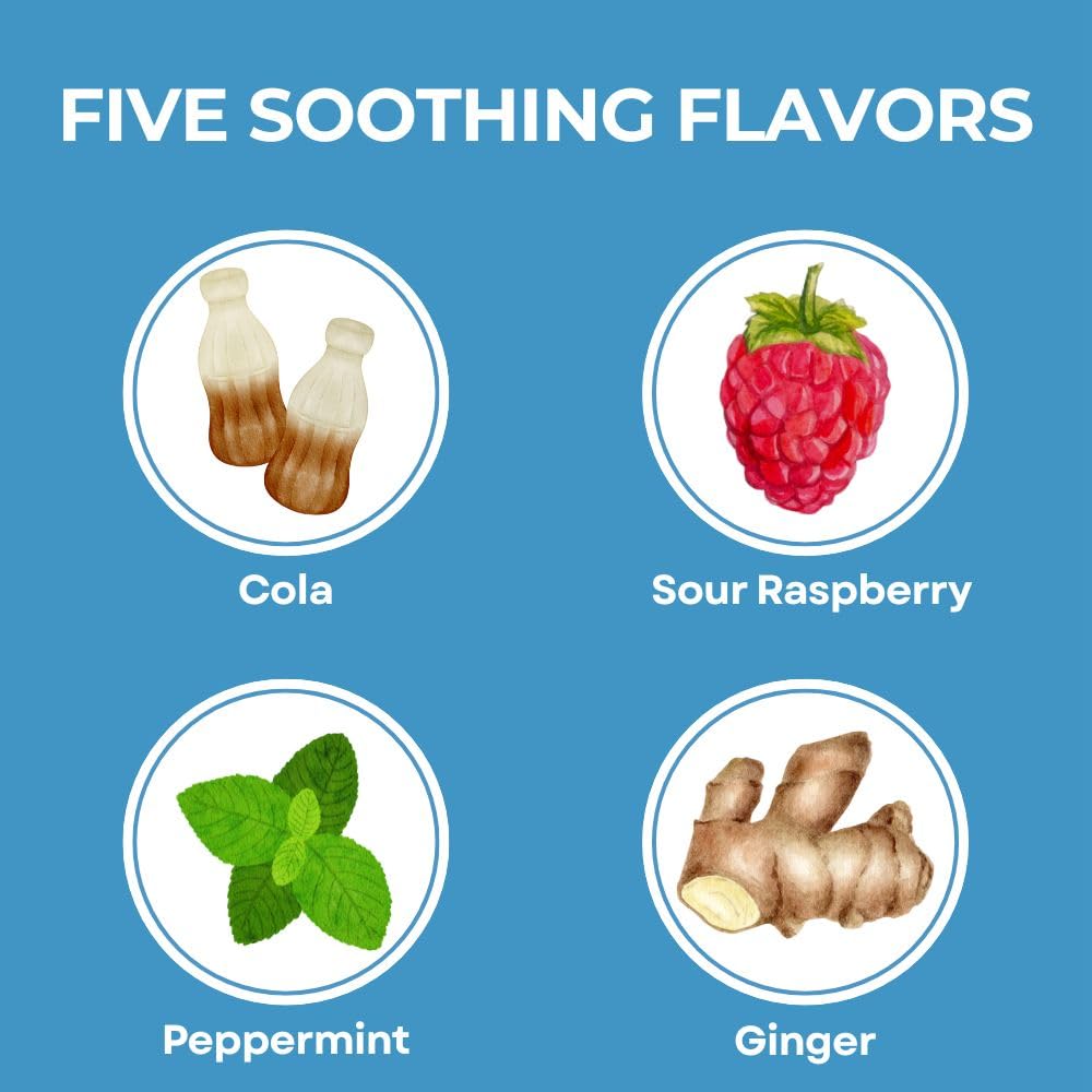 Three Lollies Queasy Drops- Supports Motion Sickness Relief. Also Pregnancy & Morning Sickness Relief. Stomach Settle Drops Assorted 48 Count - Maple Wellness Supplements